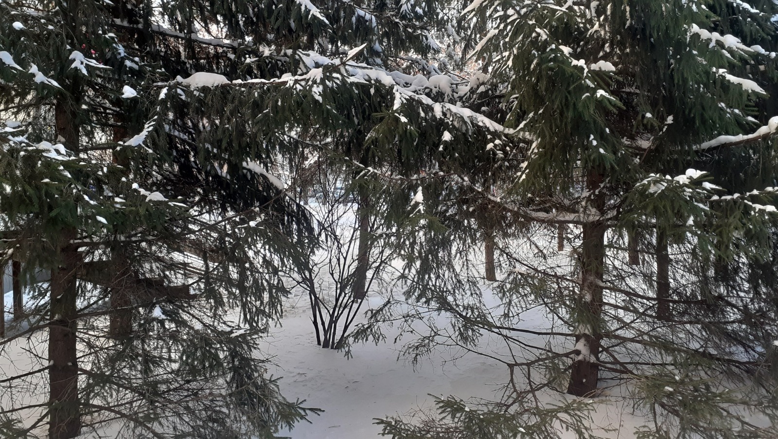 Владимира Шакиева. «Общественная электронная газета».