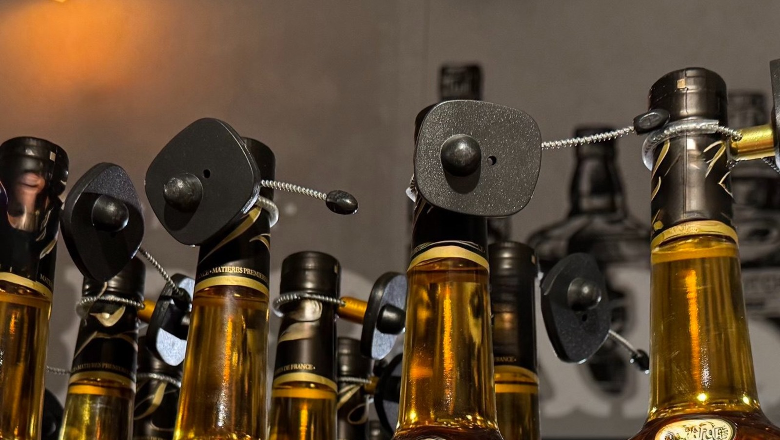 Елены Колоколовой.