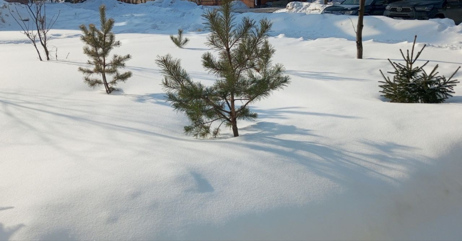 Евгении Сюткиной. «Общественная электронная газета».