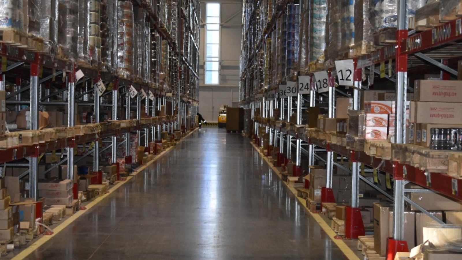 Елены Колоколовой.