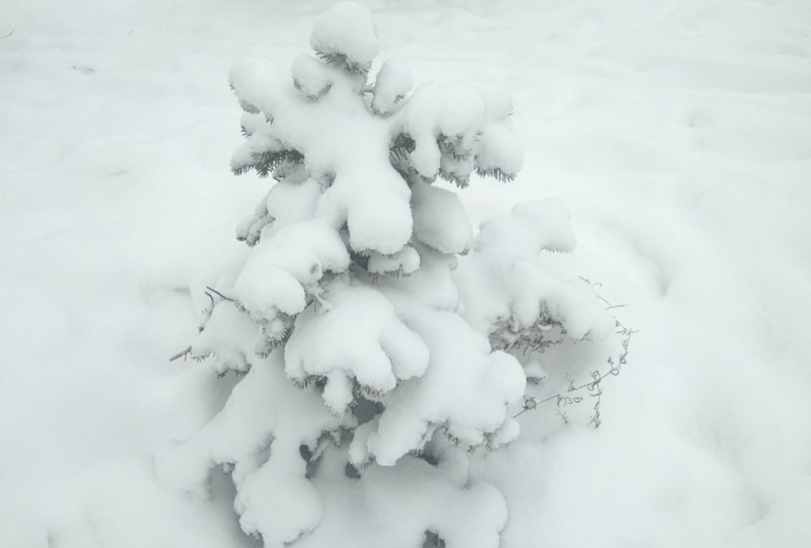 Фото Васили Саитовой.