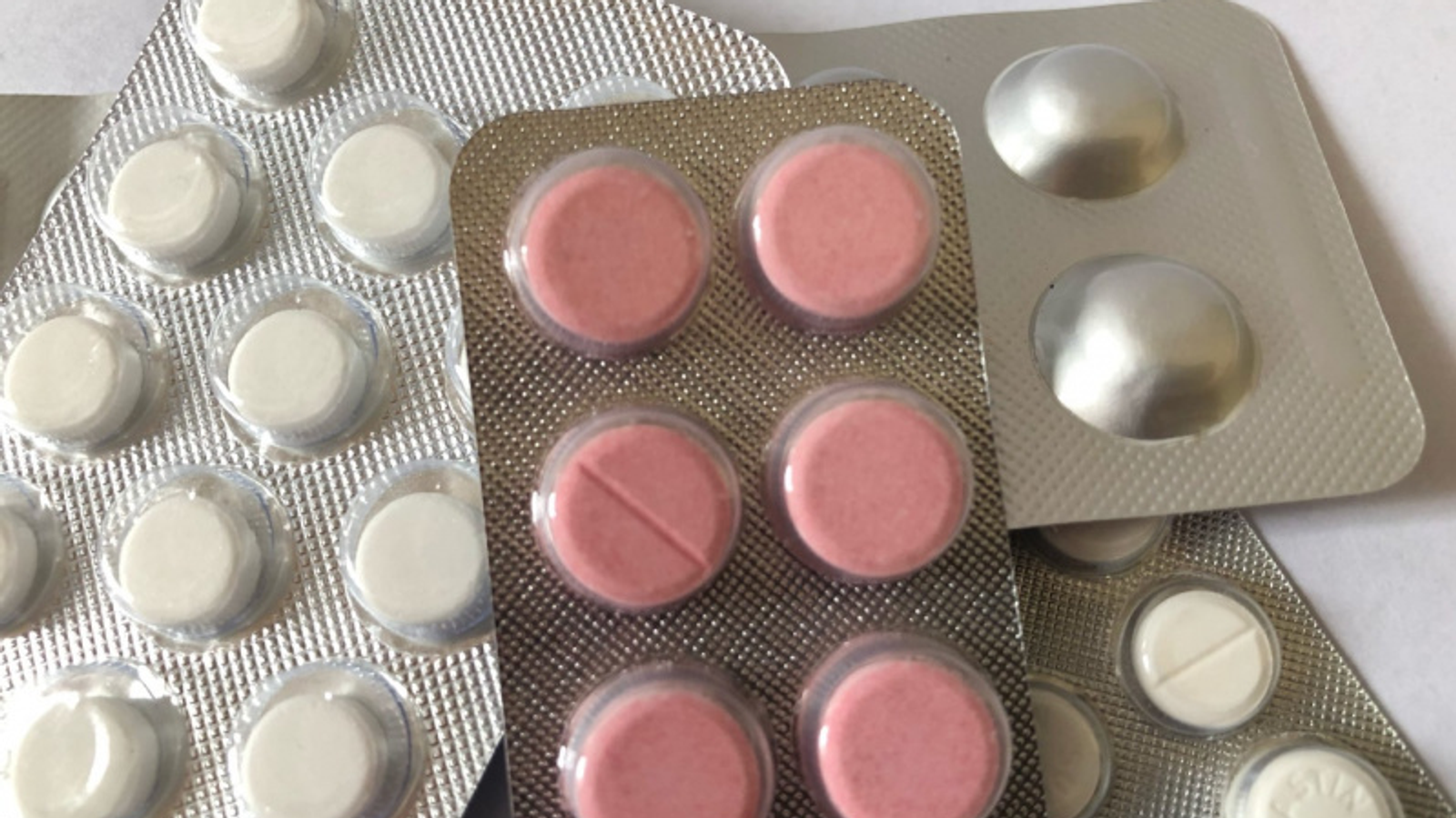 Фото Елены Колоколовой.