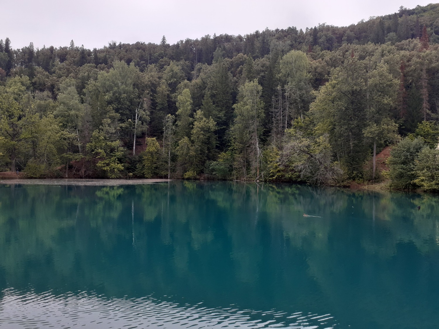 Владимира Шакиева.