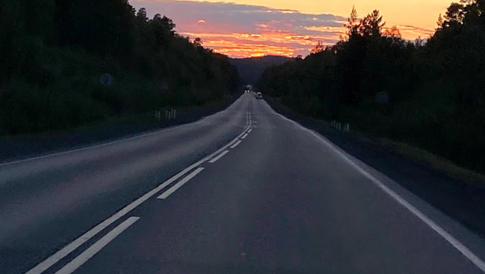 Елены Колоколовой.