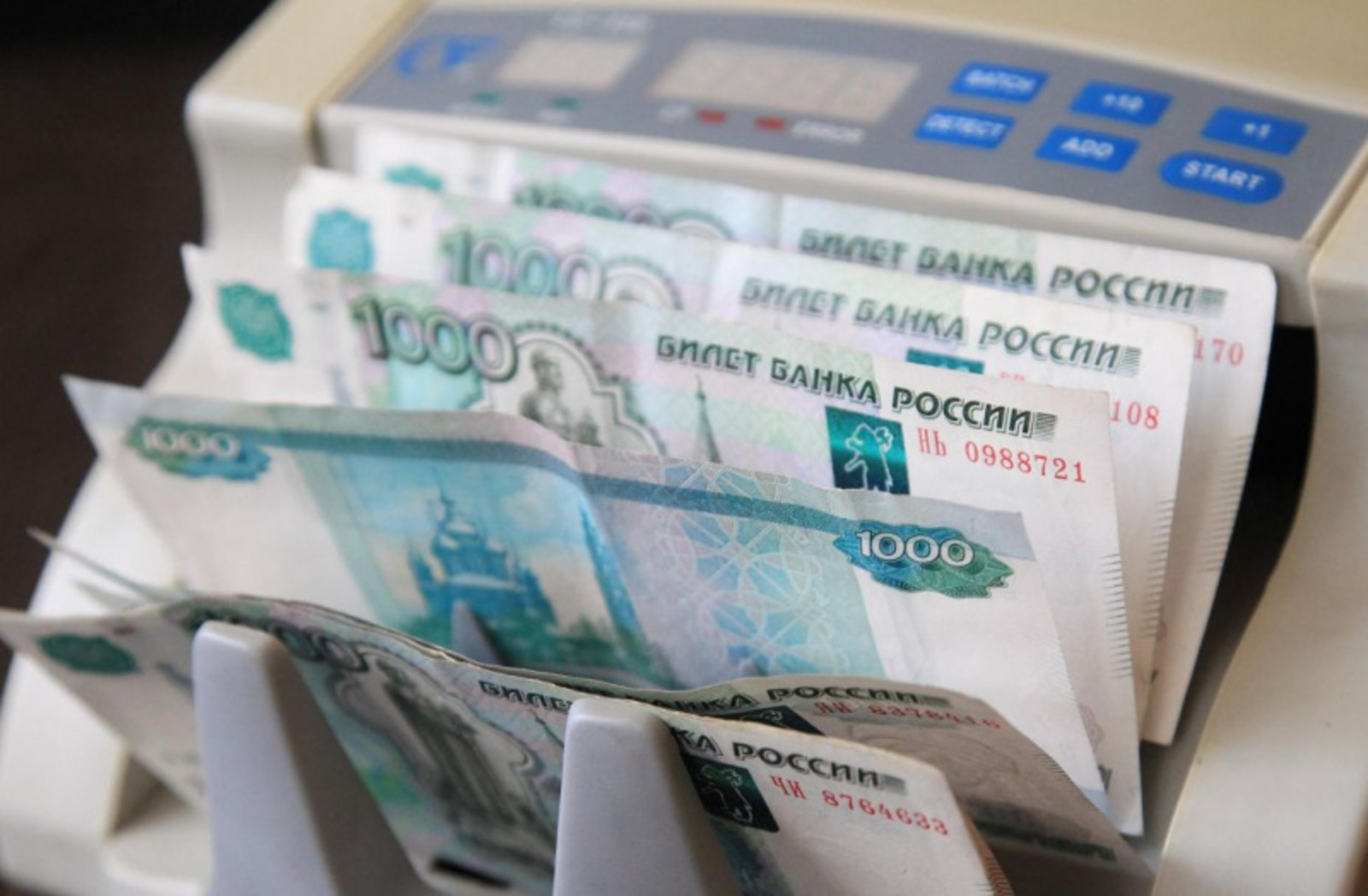 Фото Олега Яровикова.