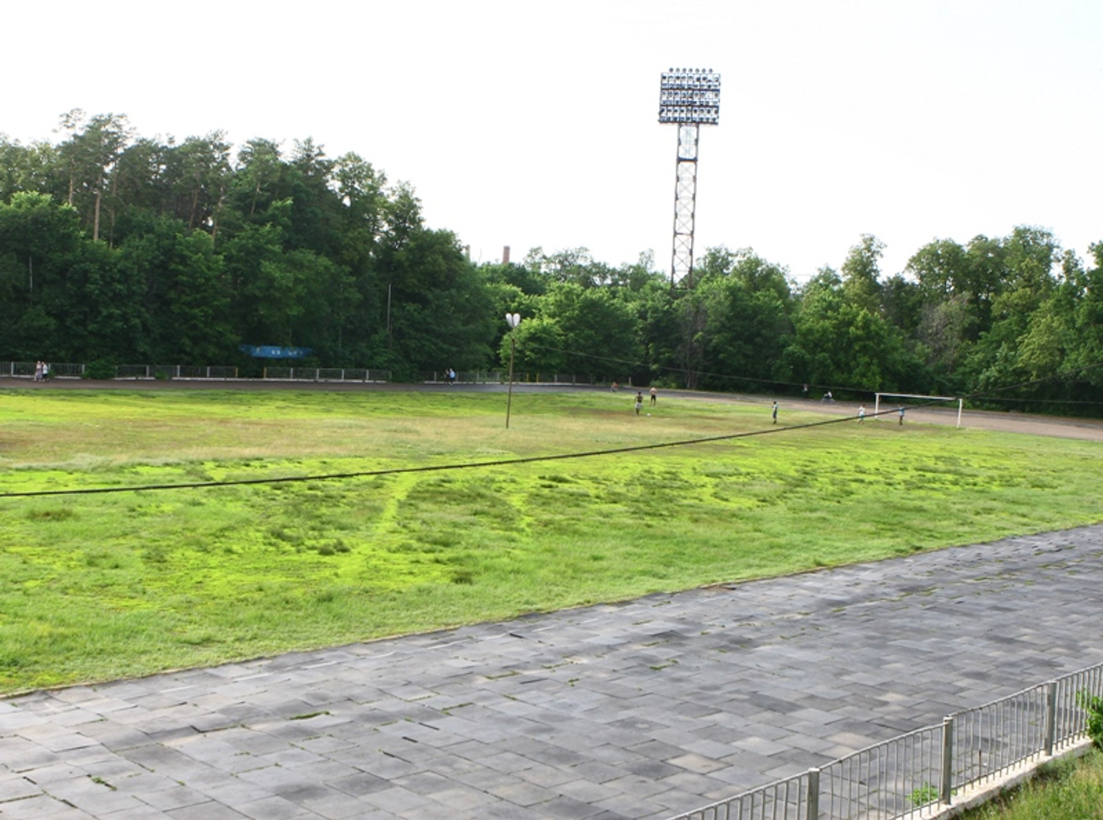 Фото Андрея Старостина.