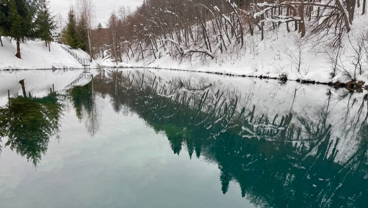 Елены Колоколовой. «Общественная электронная газета».