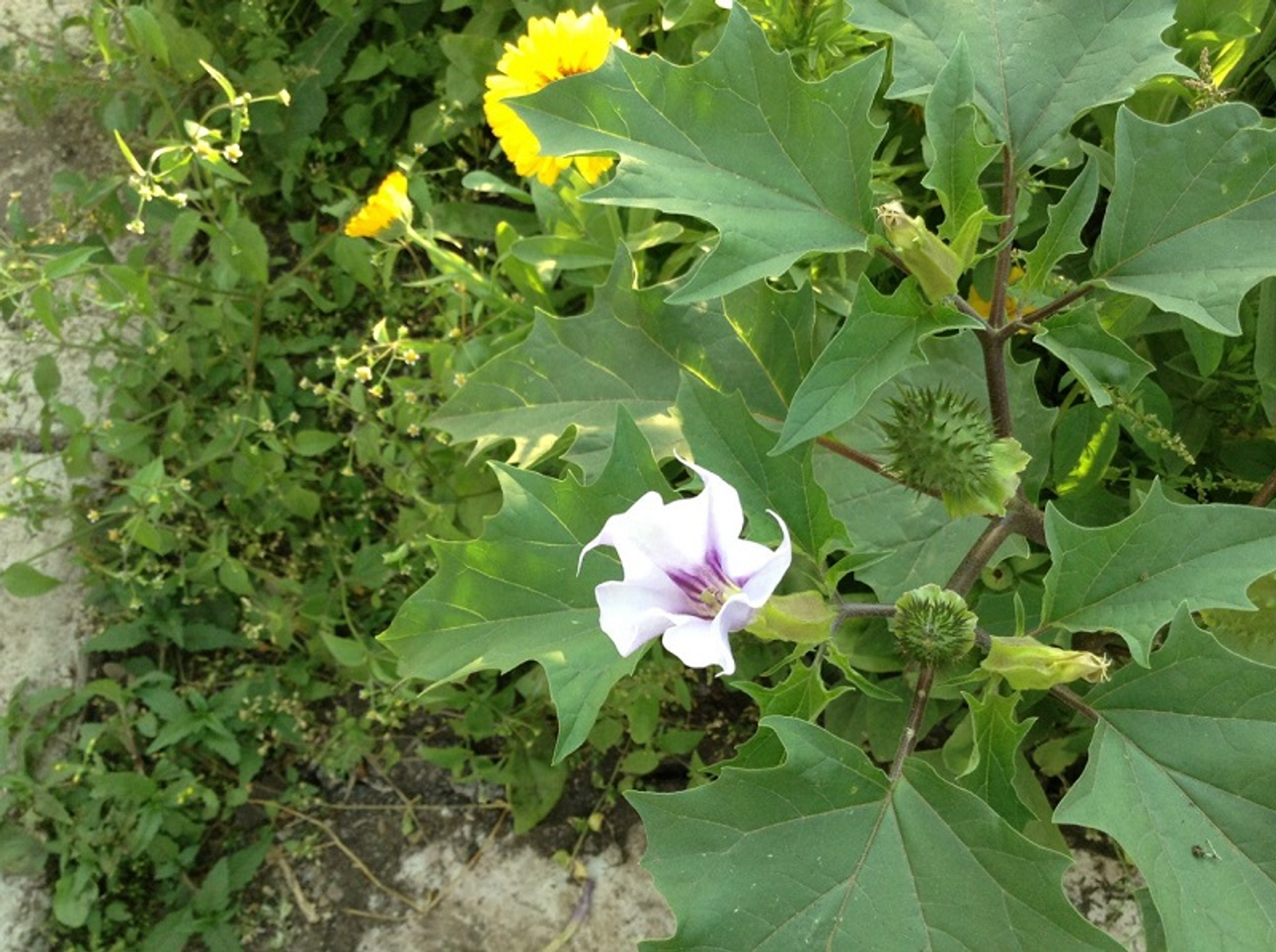 Фото Васили Саитовой.
