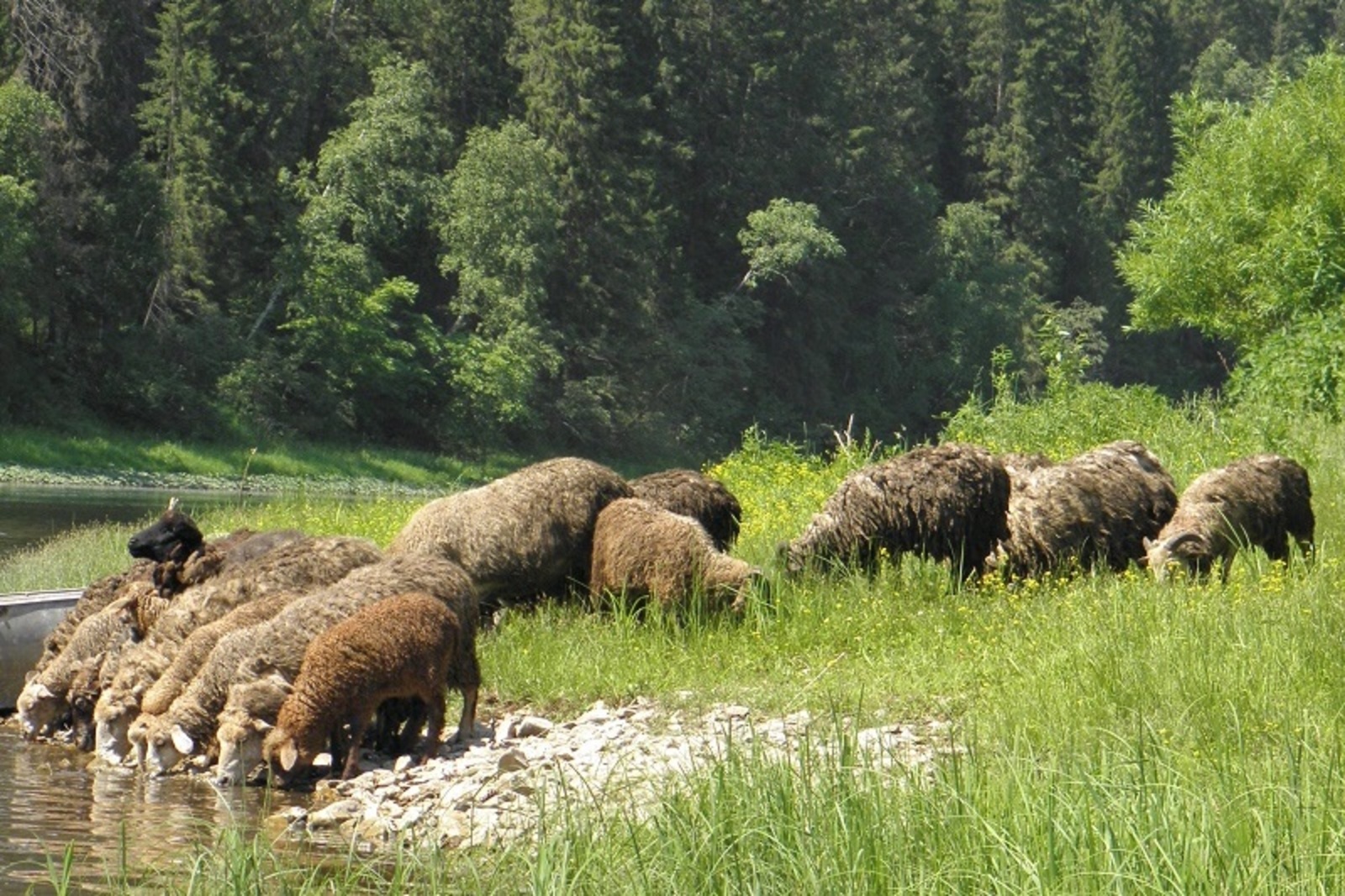 Фото автора.