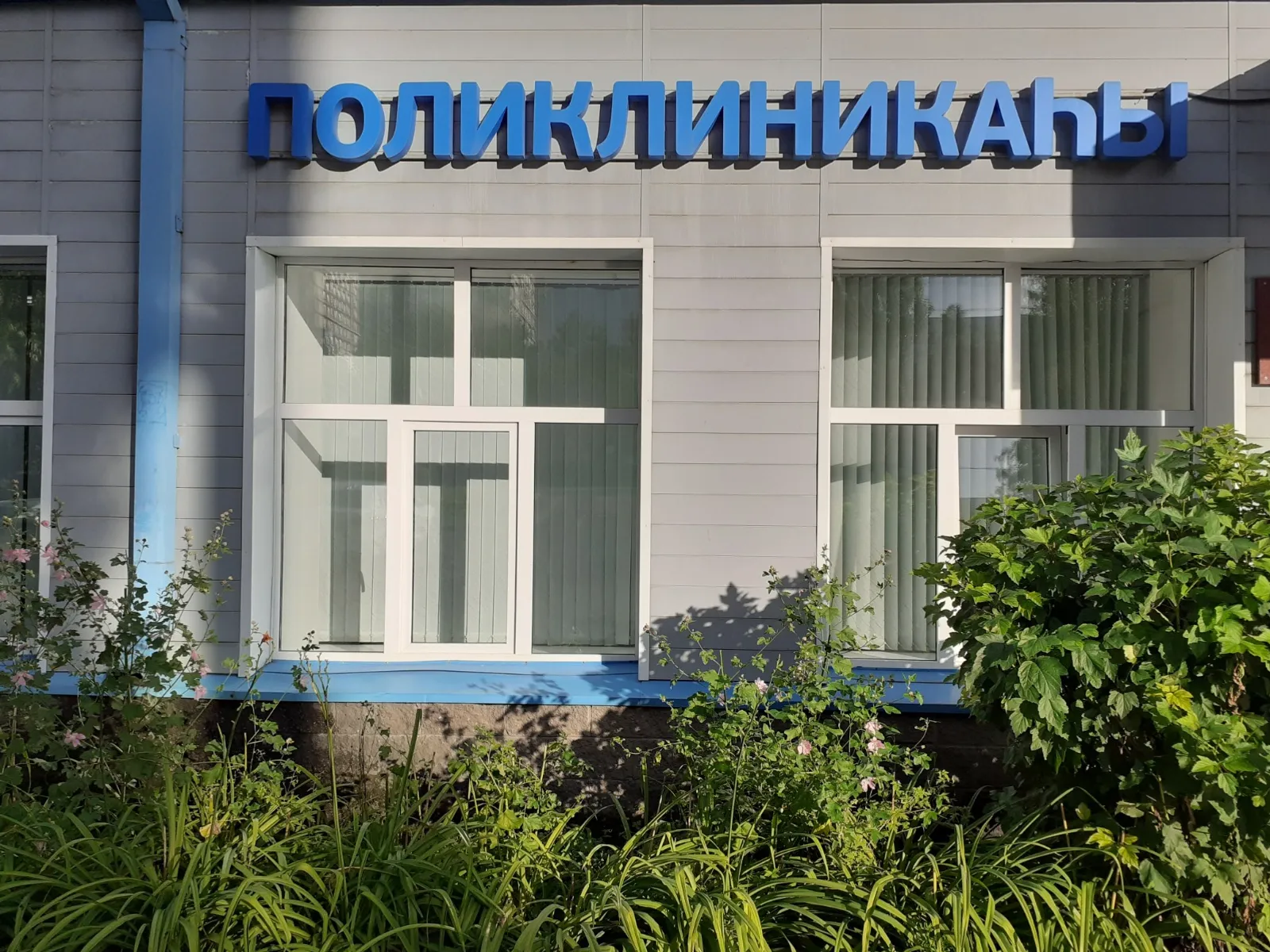 Владимира Шакиева.  «Общественная электронная газета».