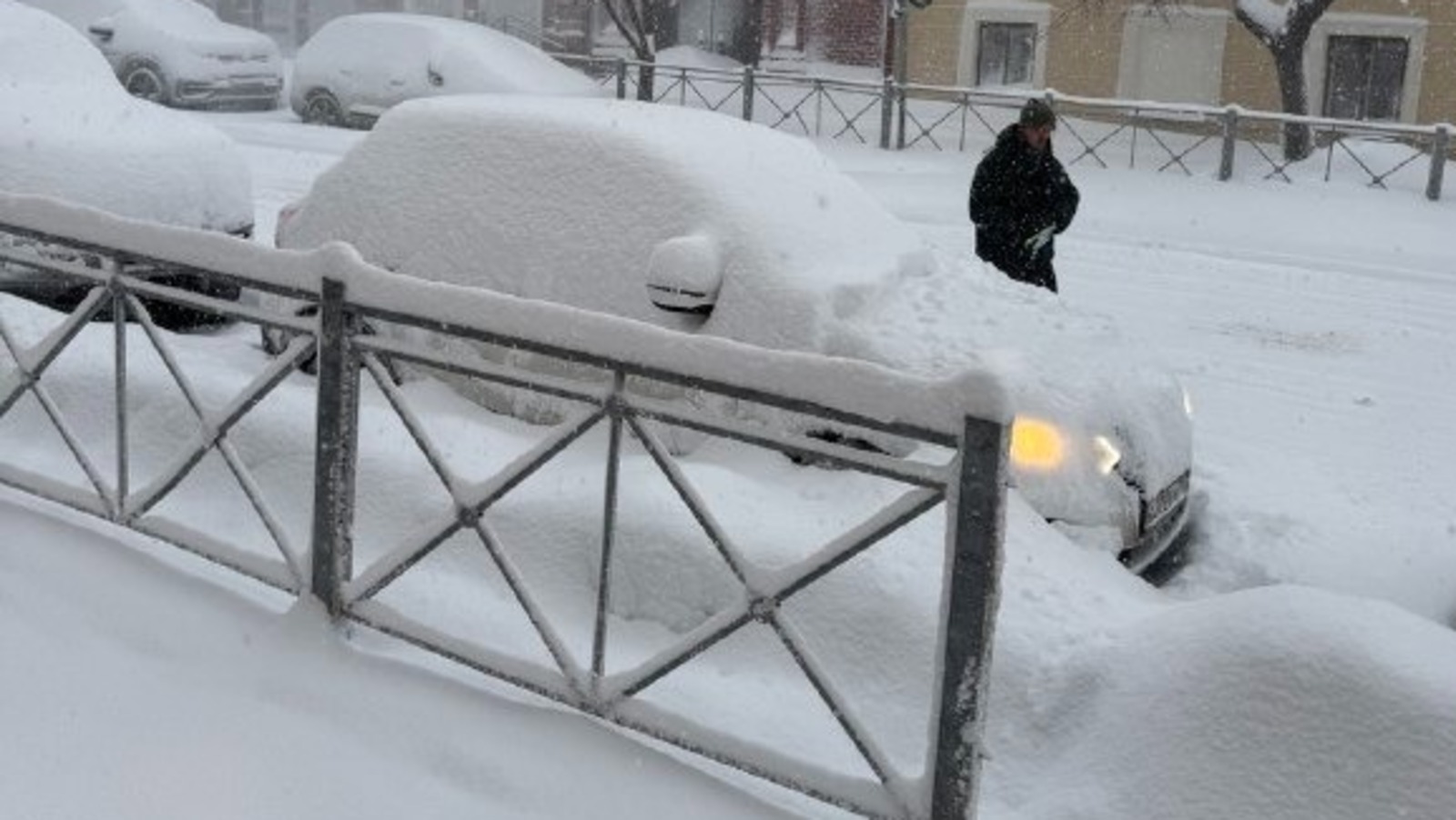 Елены Колоколовой.  «Общественная электронная газета».