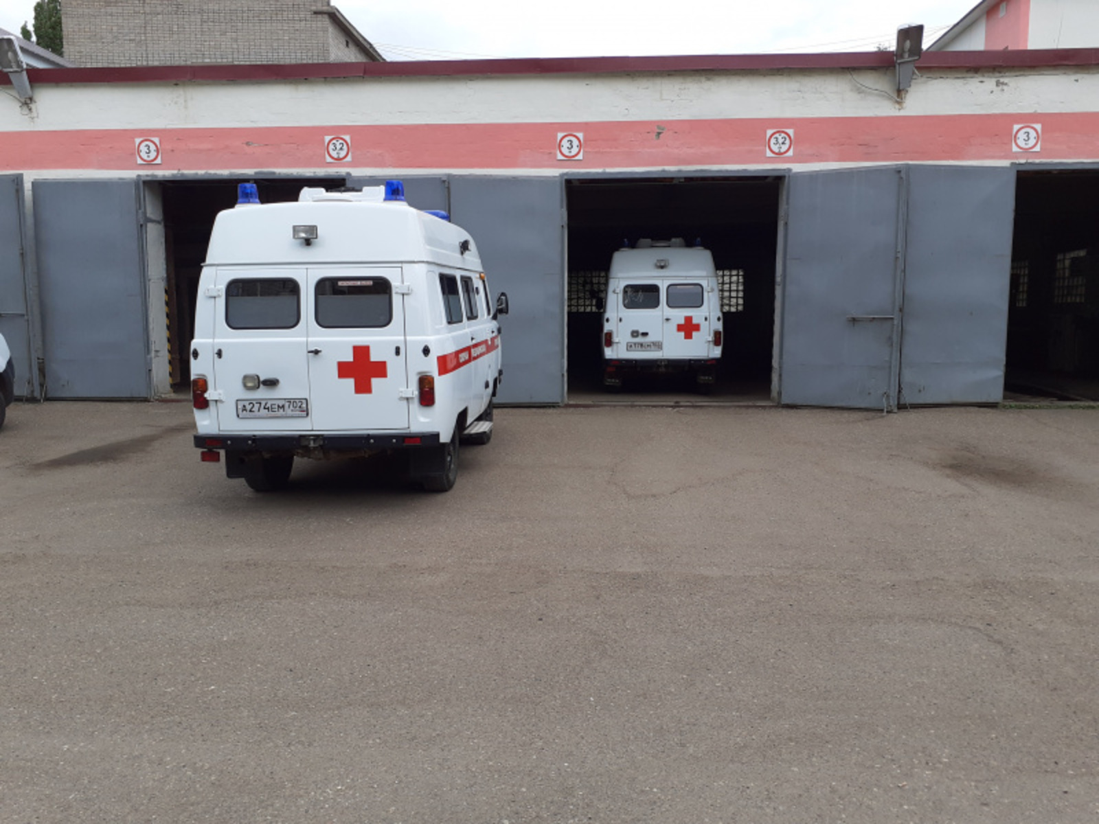 Фото автора.