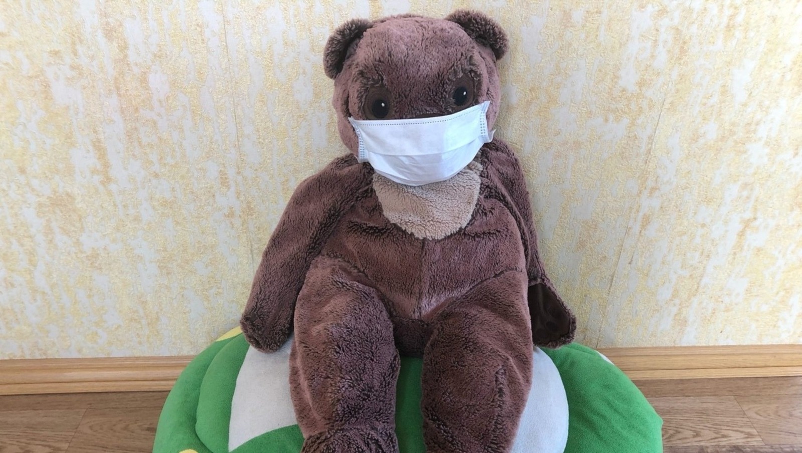 Елены Колоколовой.