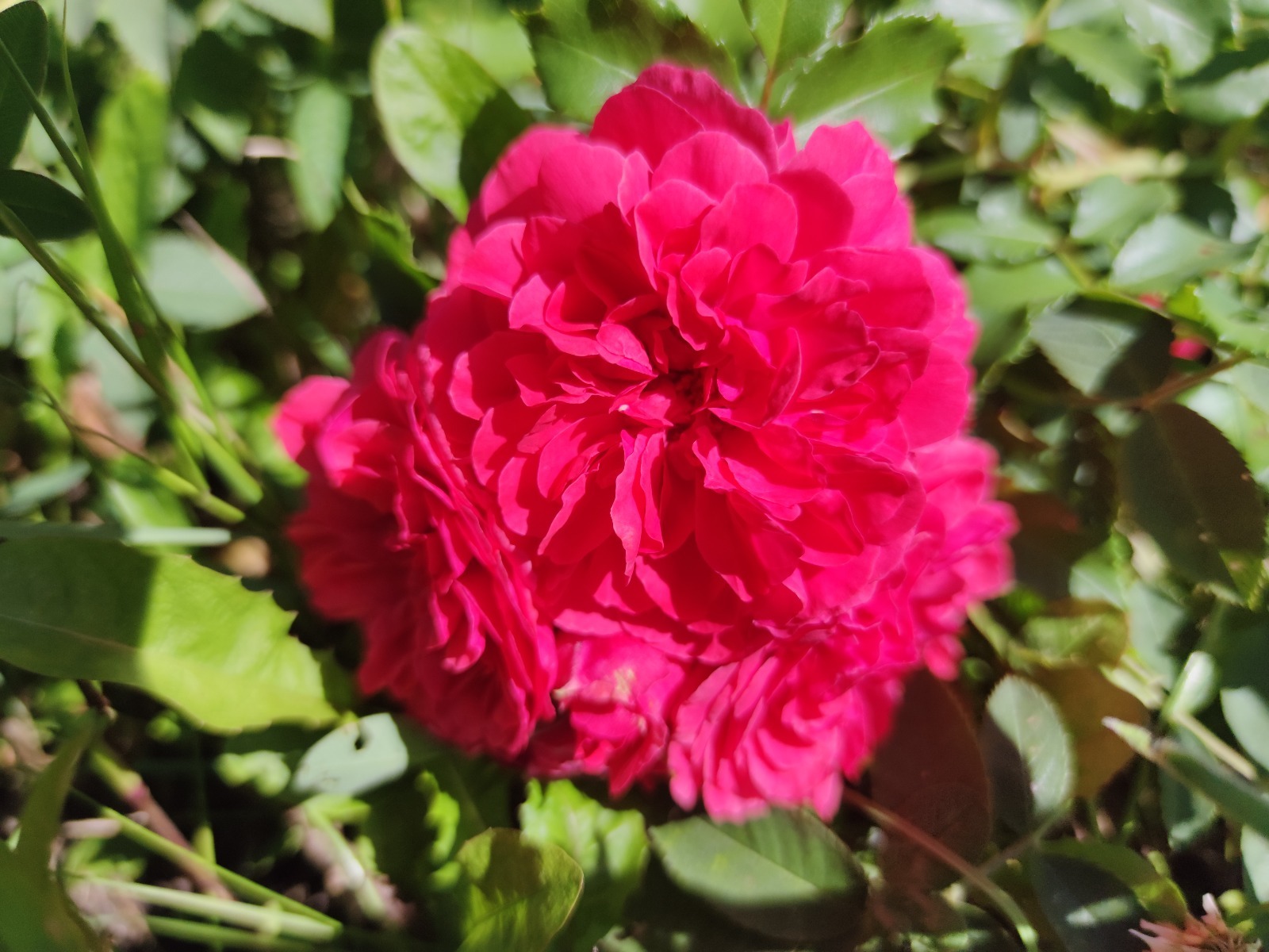 Дарьи Святохиной.