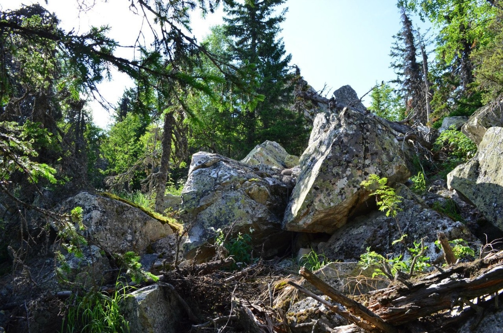 Владимира Шакиева.