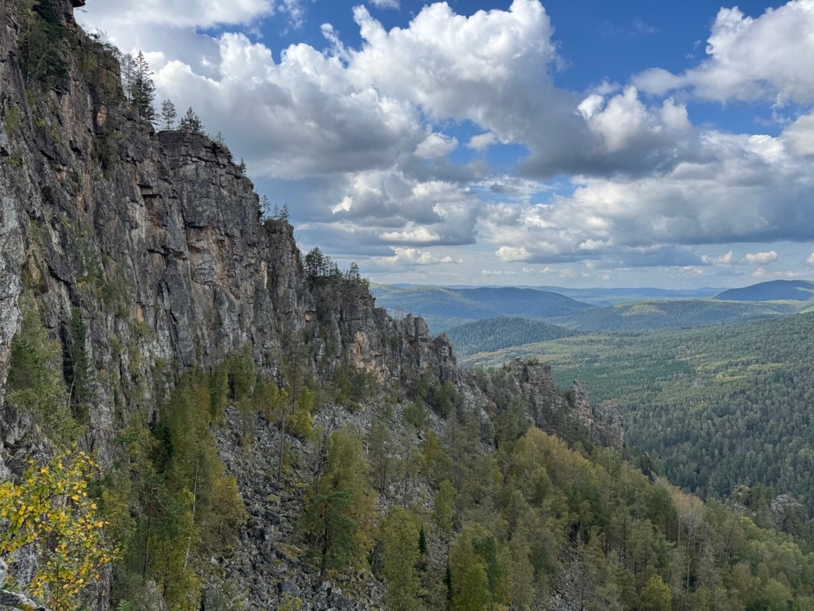 Елены Колоколовой. «Общественная электронная газета».