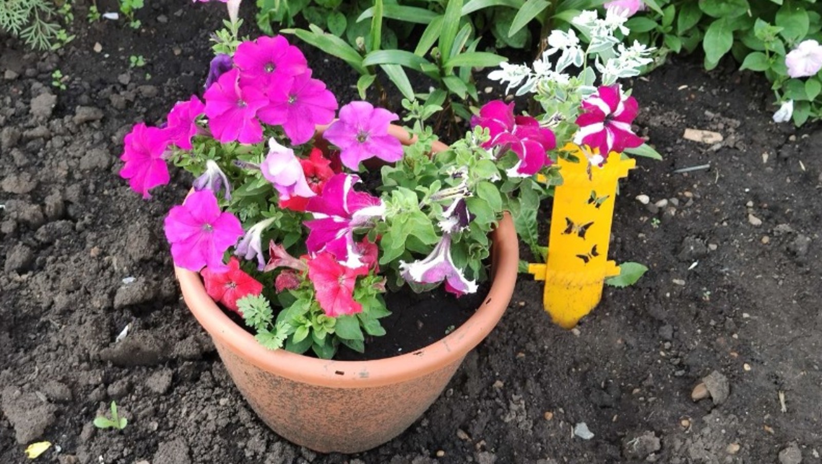 Дарьи Святохиной.