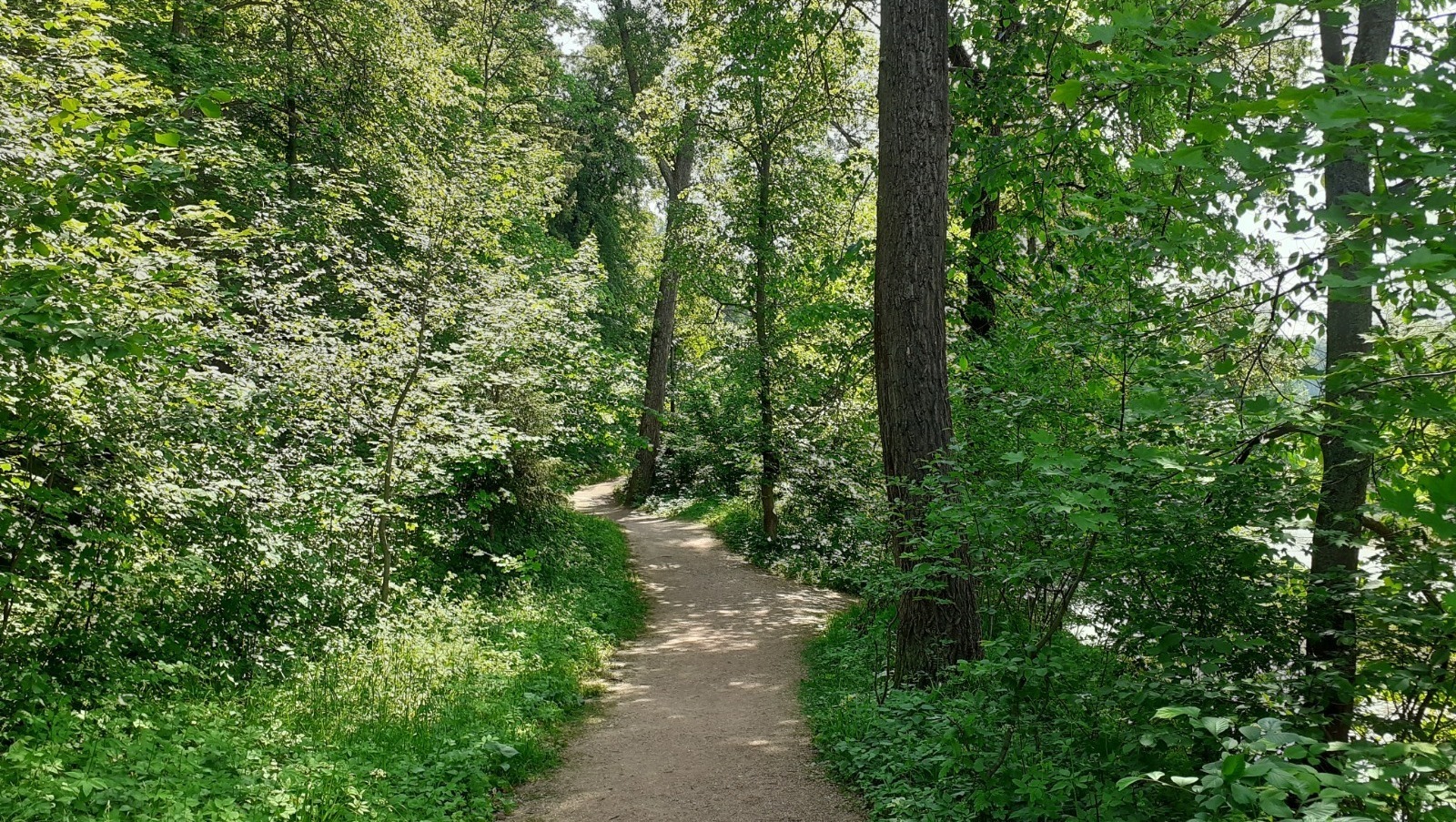 Владимира Шакиева.