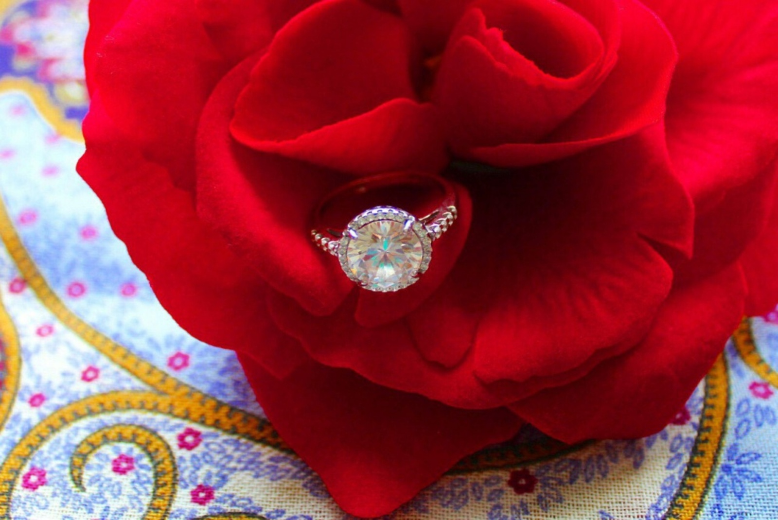 Фото Дарьи Святохиной.