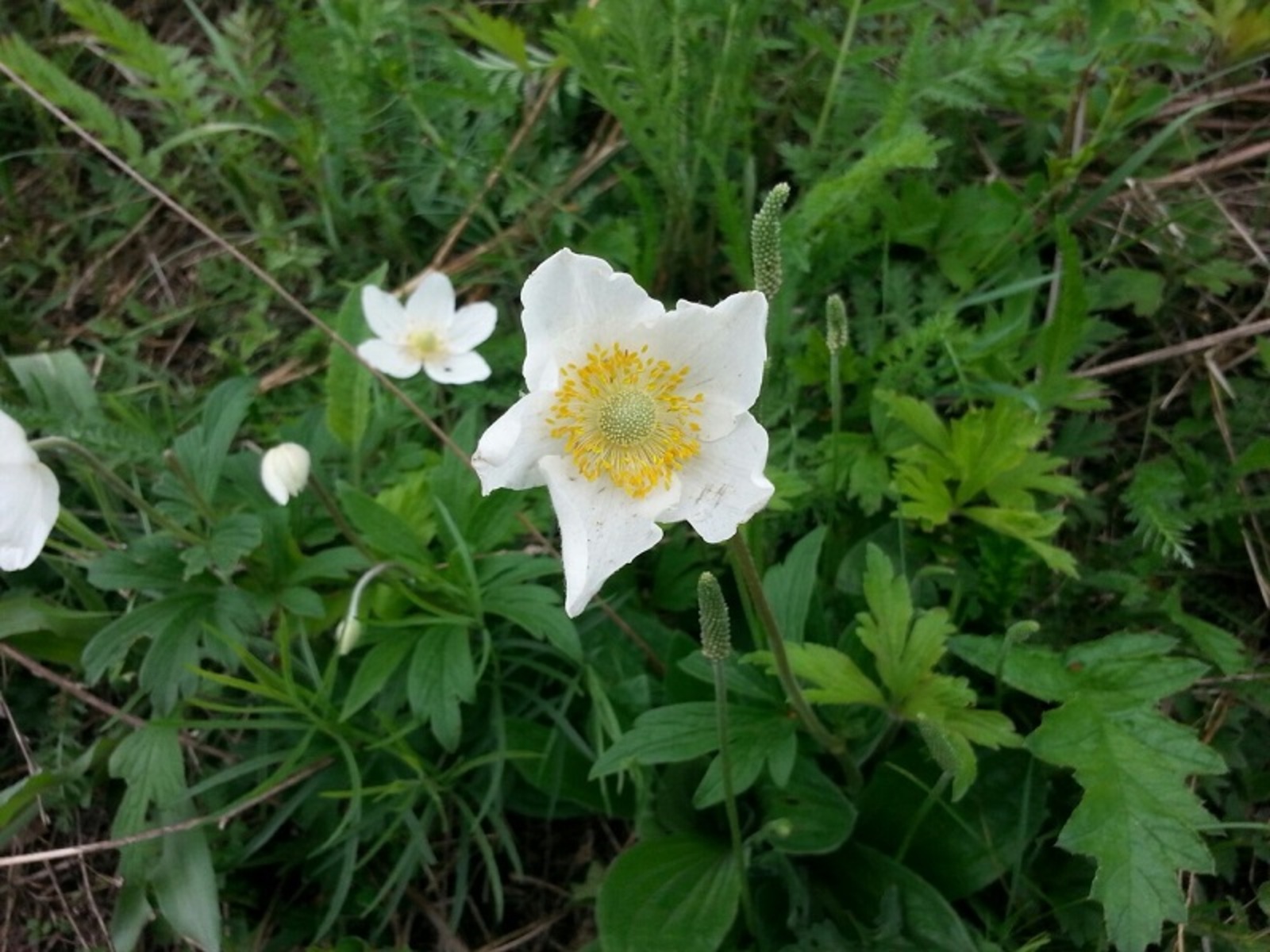 Фото автора.