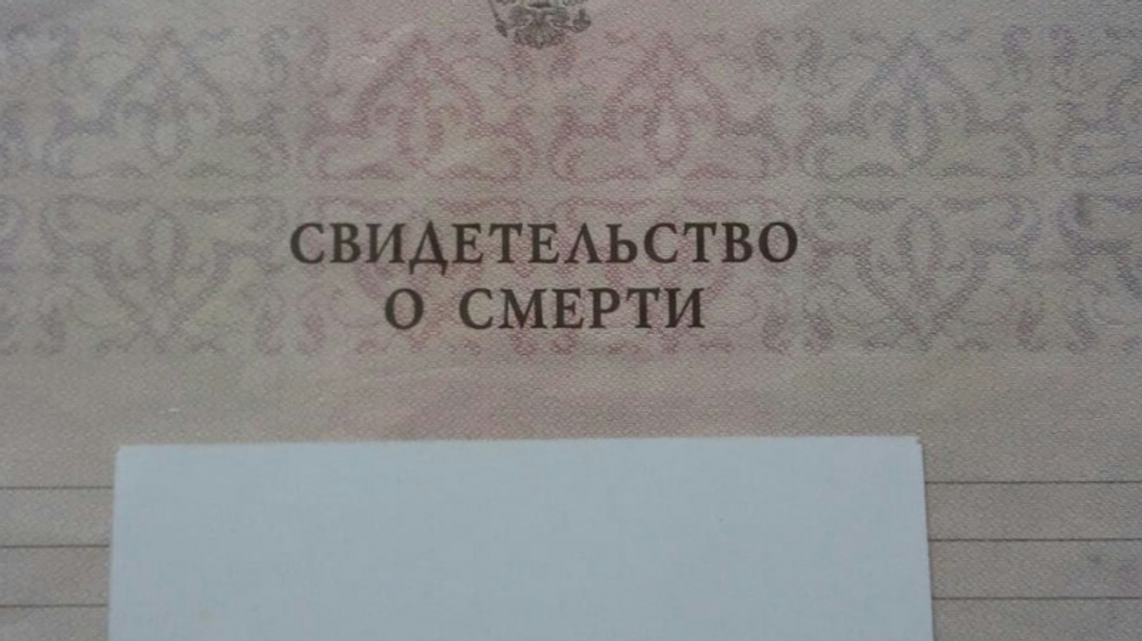 Фото Евгении Сюткиной.