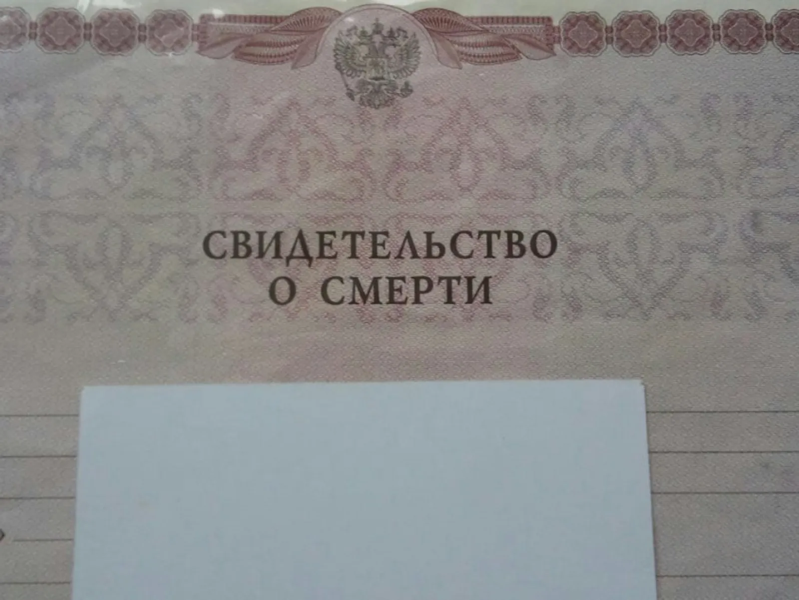 Фото Евгении Сюткиной.