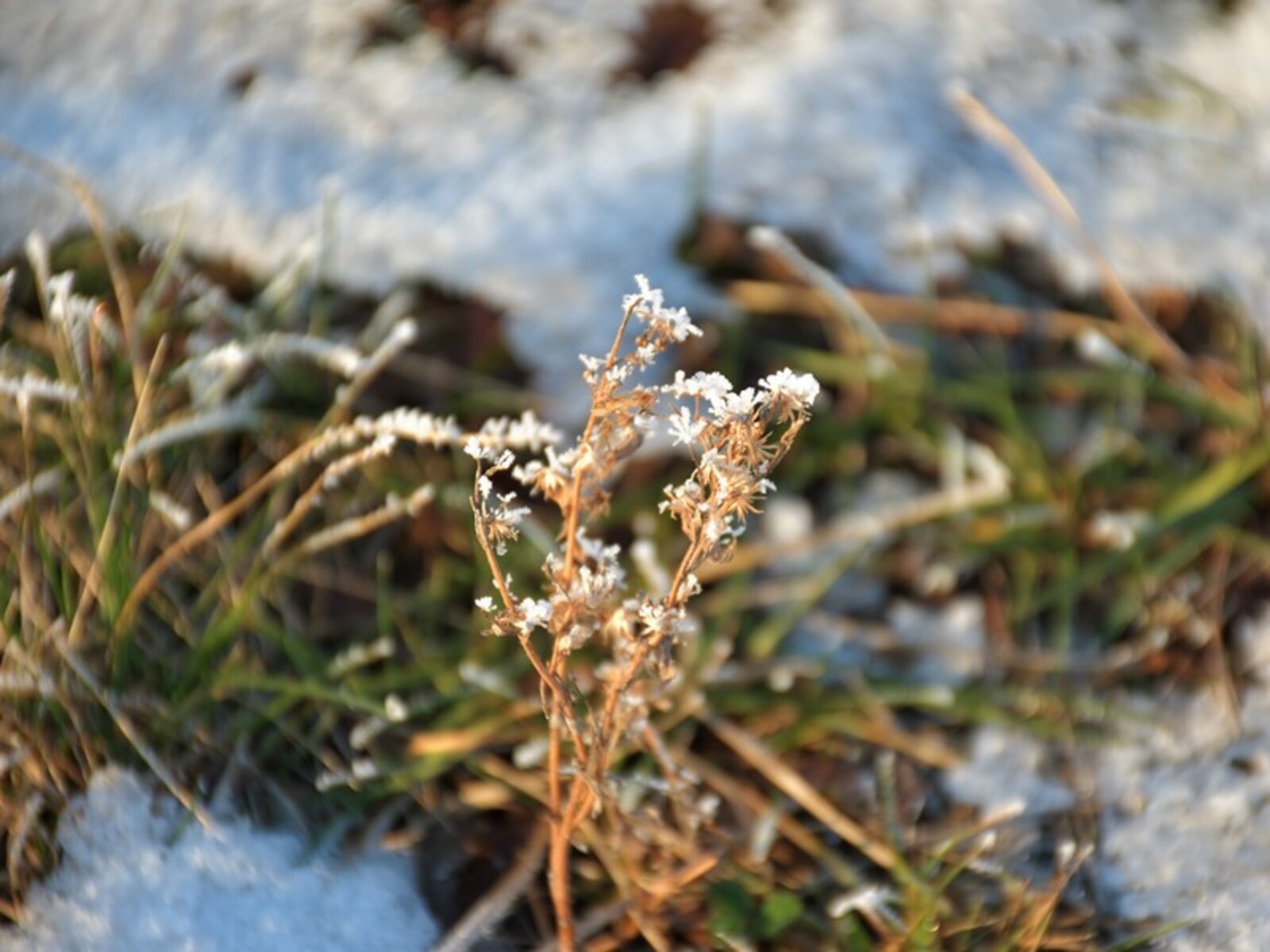 Фото Елены Колоколовой.