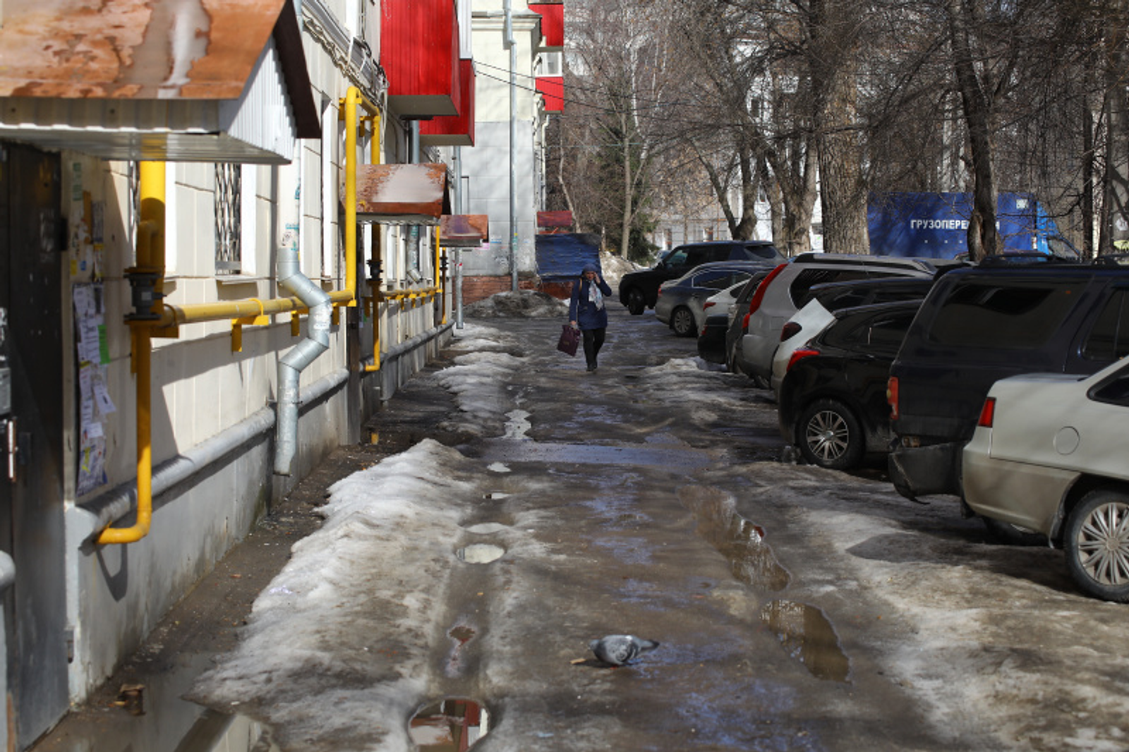 Фото Валерия Шахова.