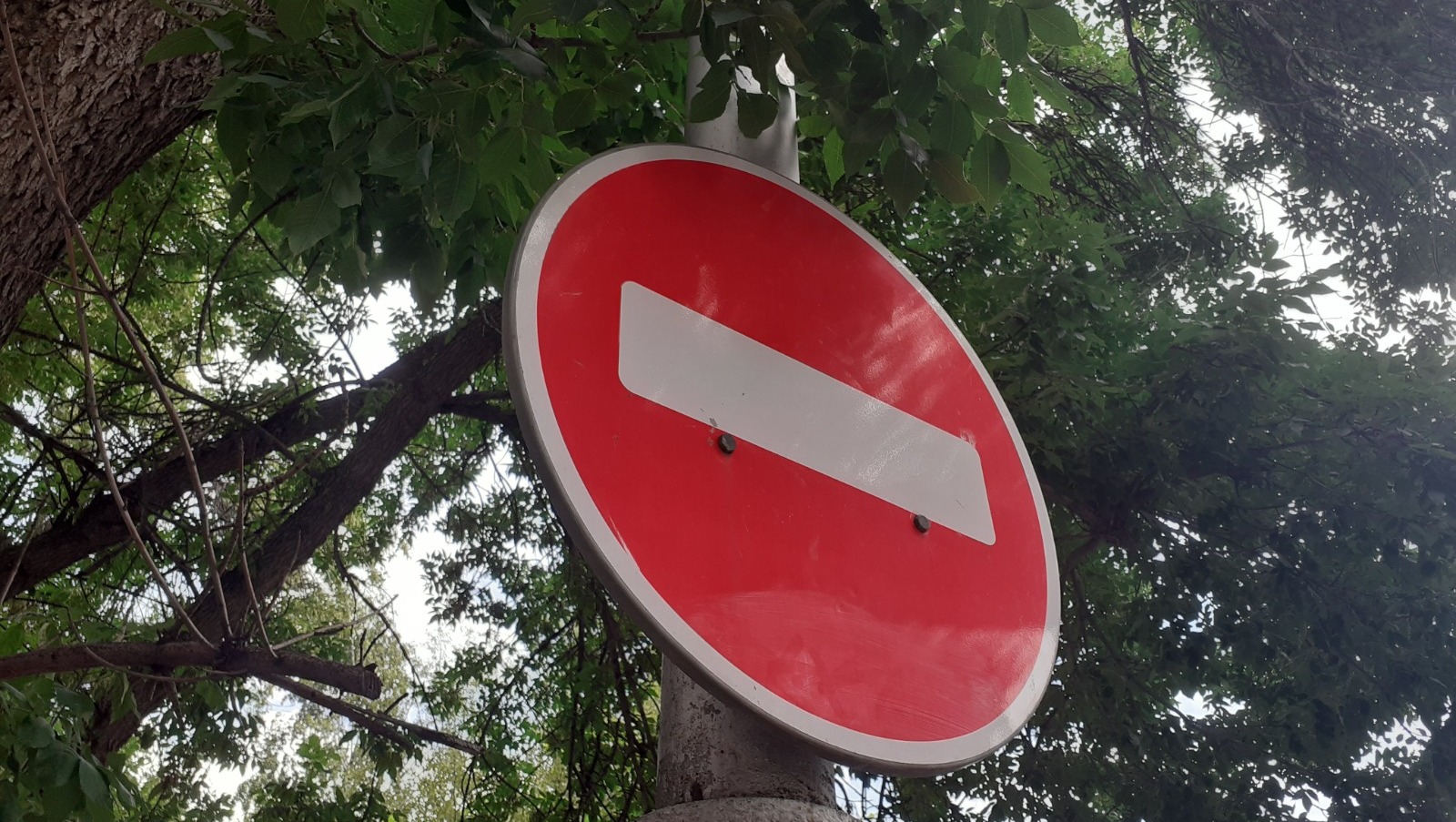 Владимира Шакиева.