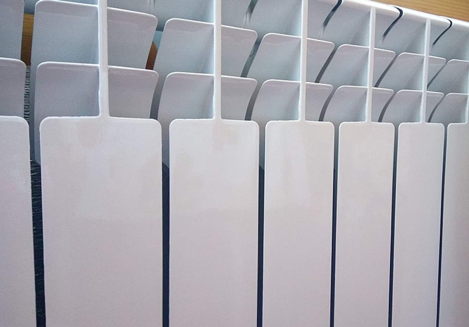 Фото Васили Саитовой.