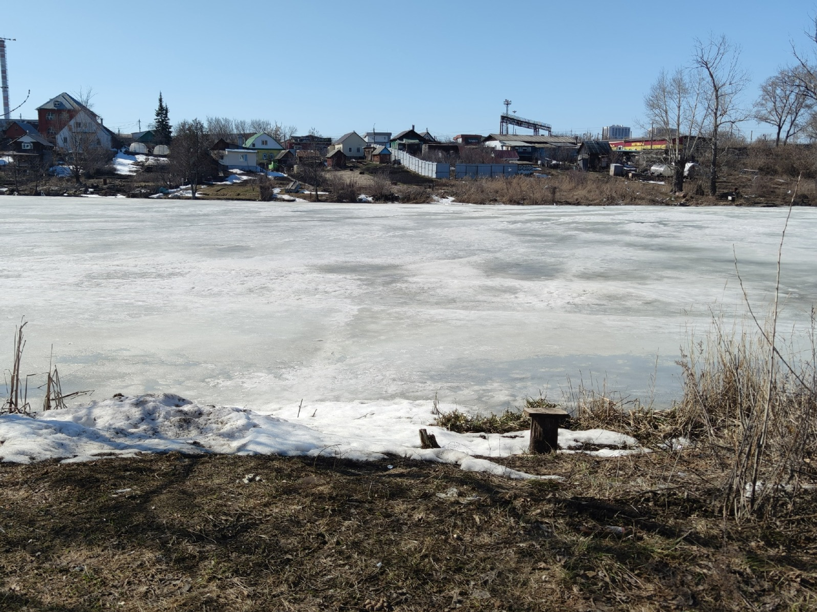 Дарьи Святохиной. «Общественная электронная газета».