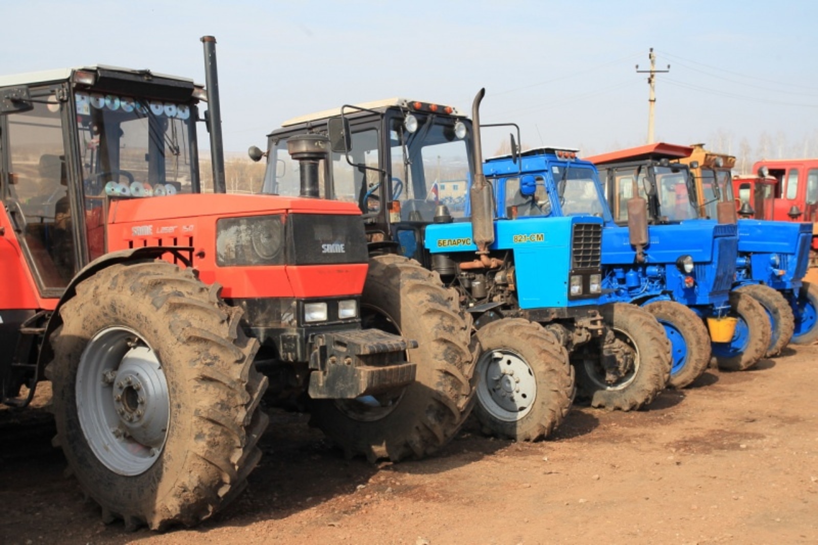 Фото Елены Колоколовой.