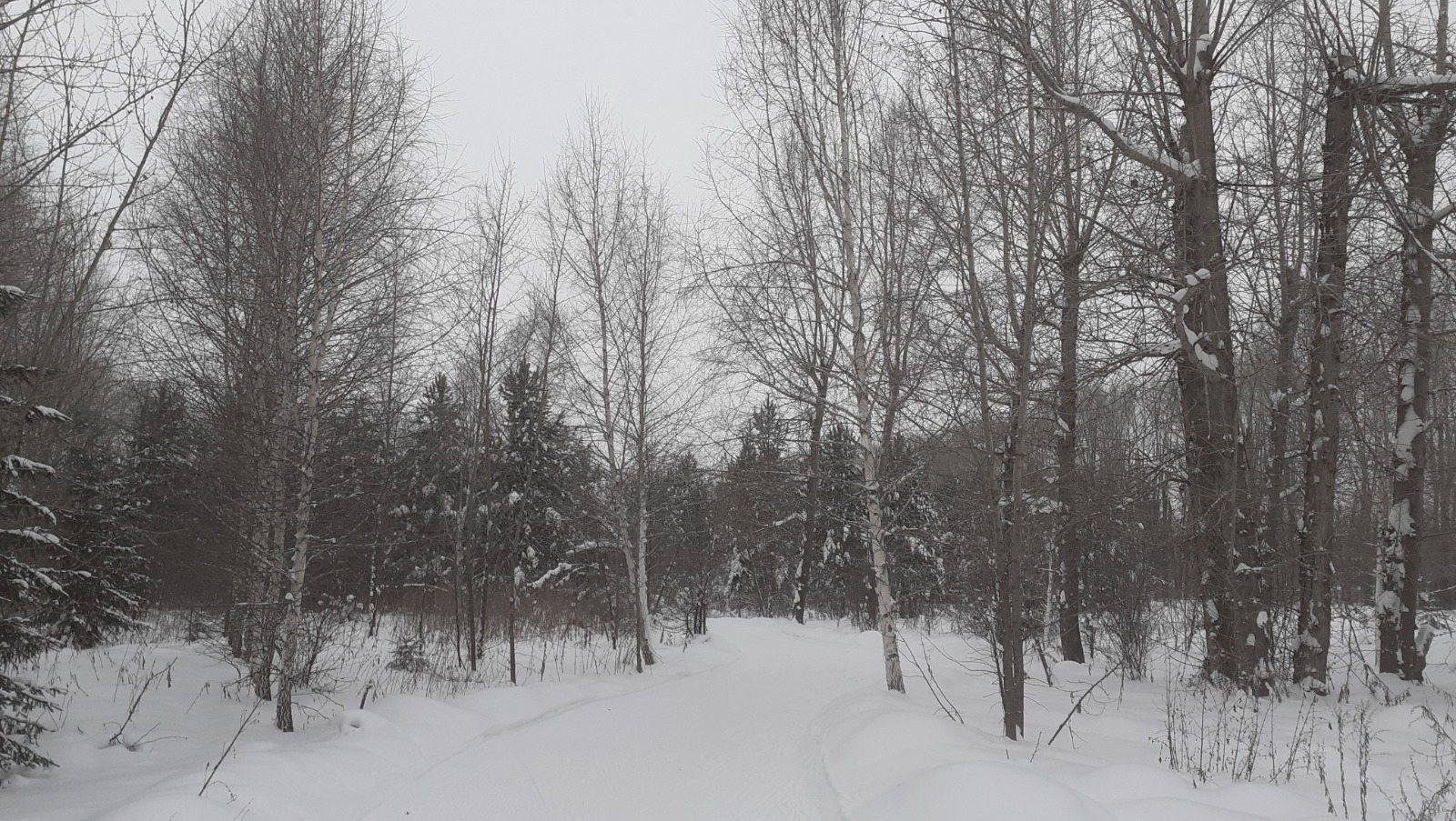 Владимира Шакиева. «Общественная электронная газета».
