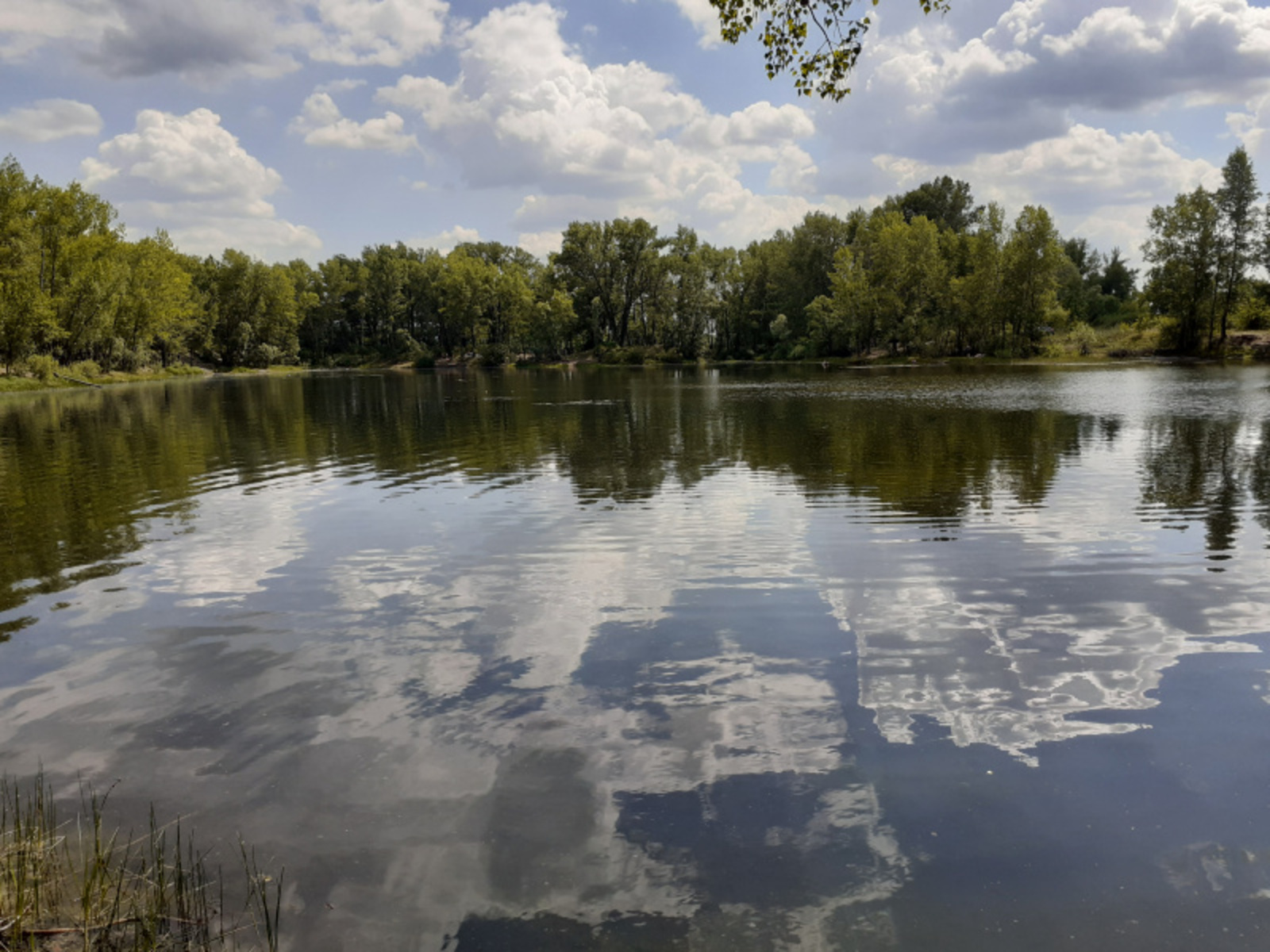 Фото автора.