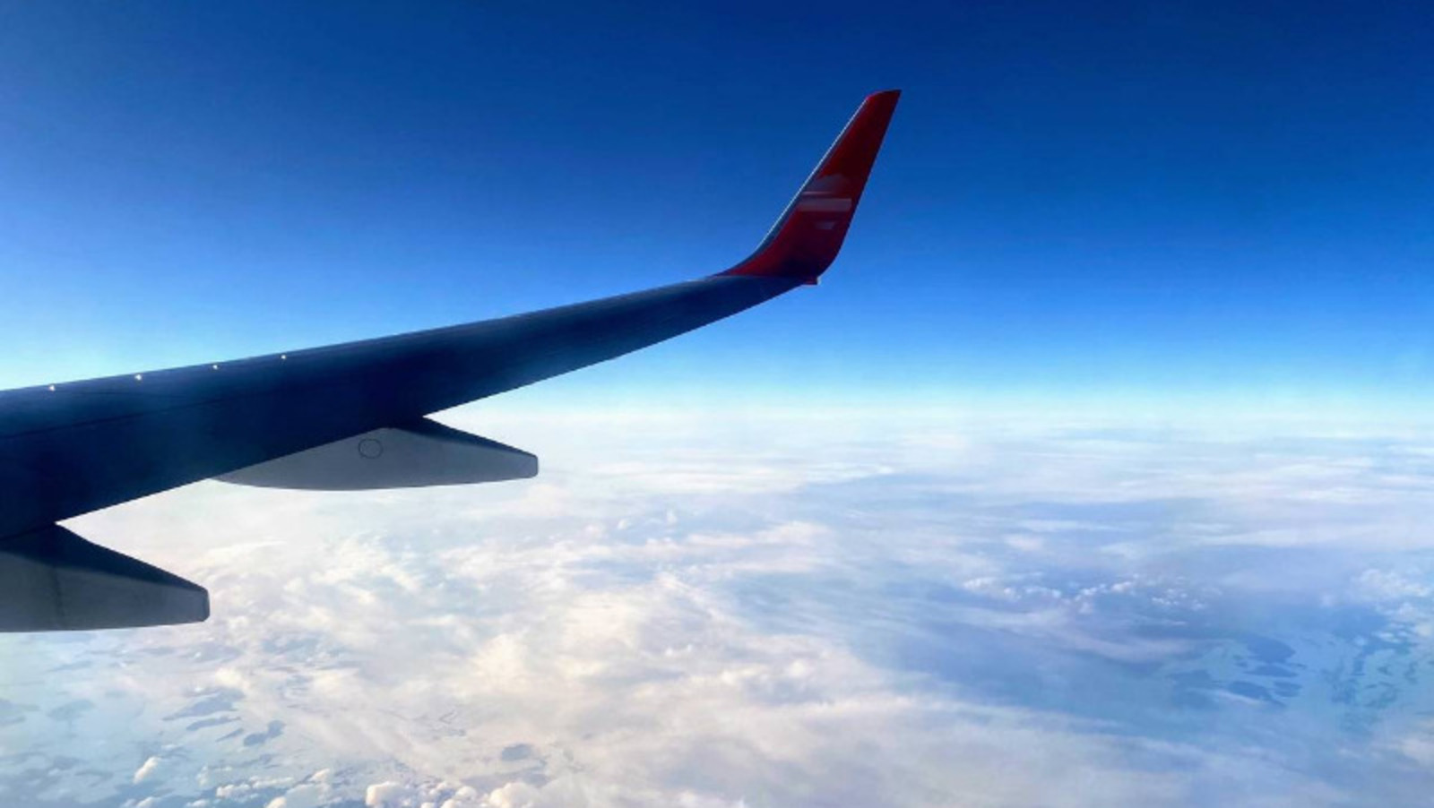 Елены Колоколовой.