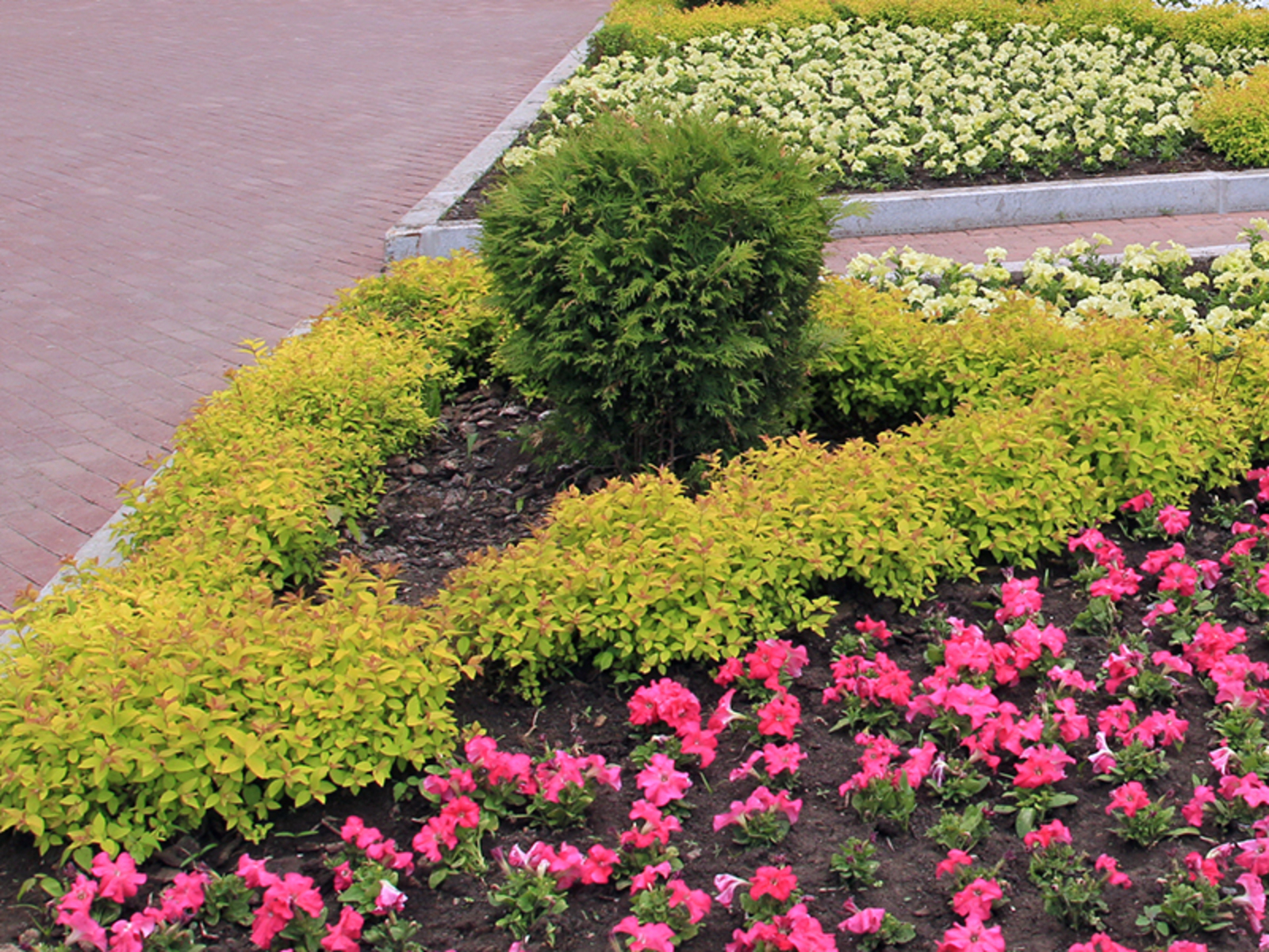 Фото Олега Яровикова.