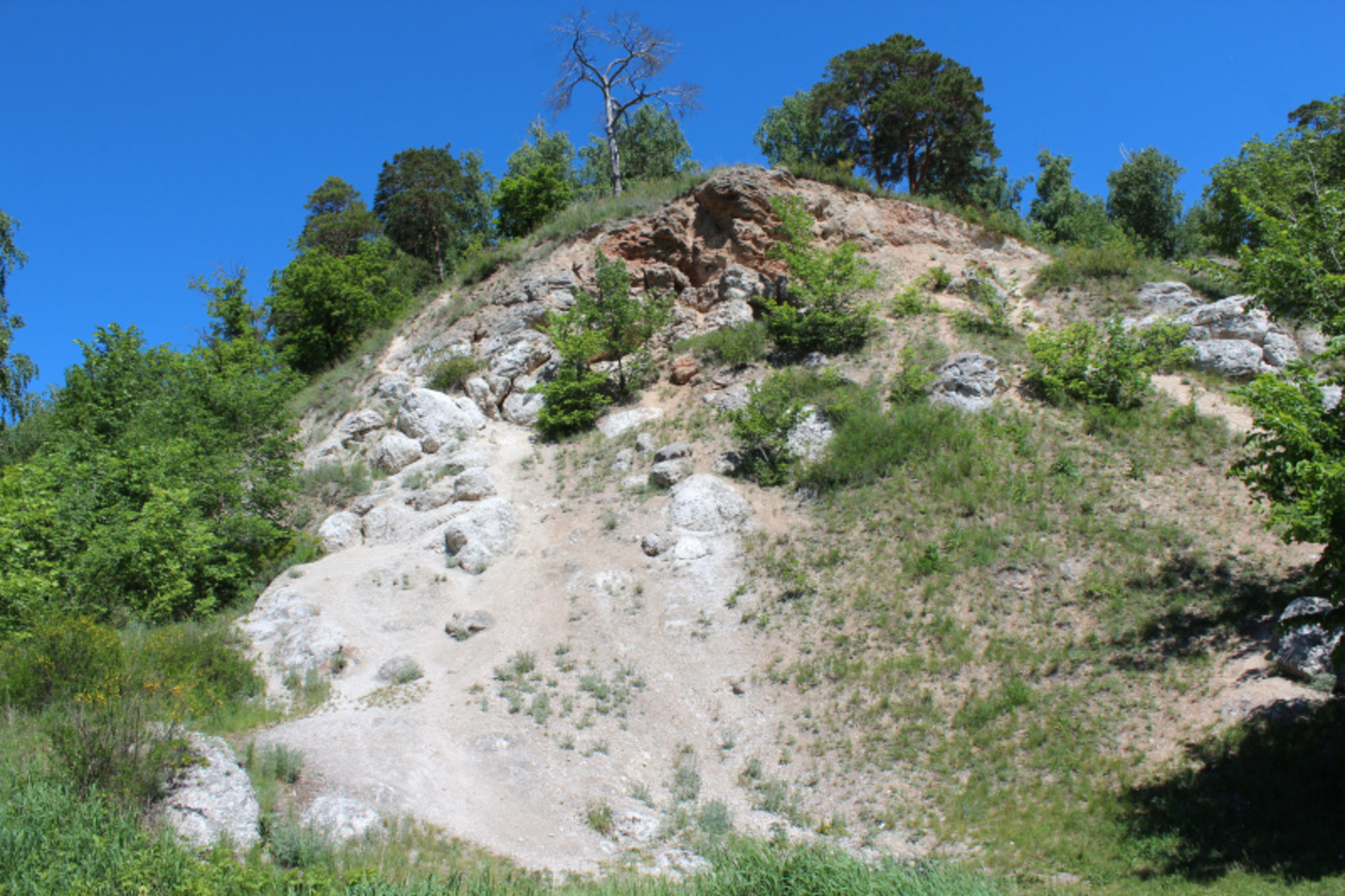 Фото автора.