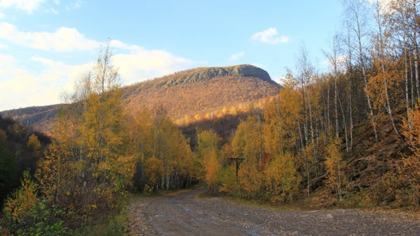 Фото автора.