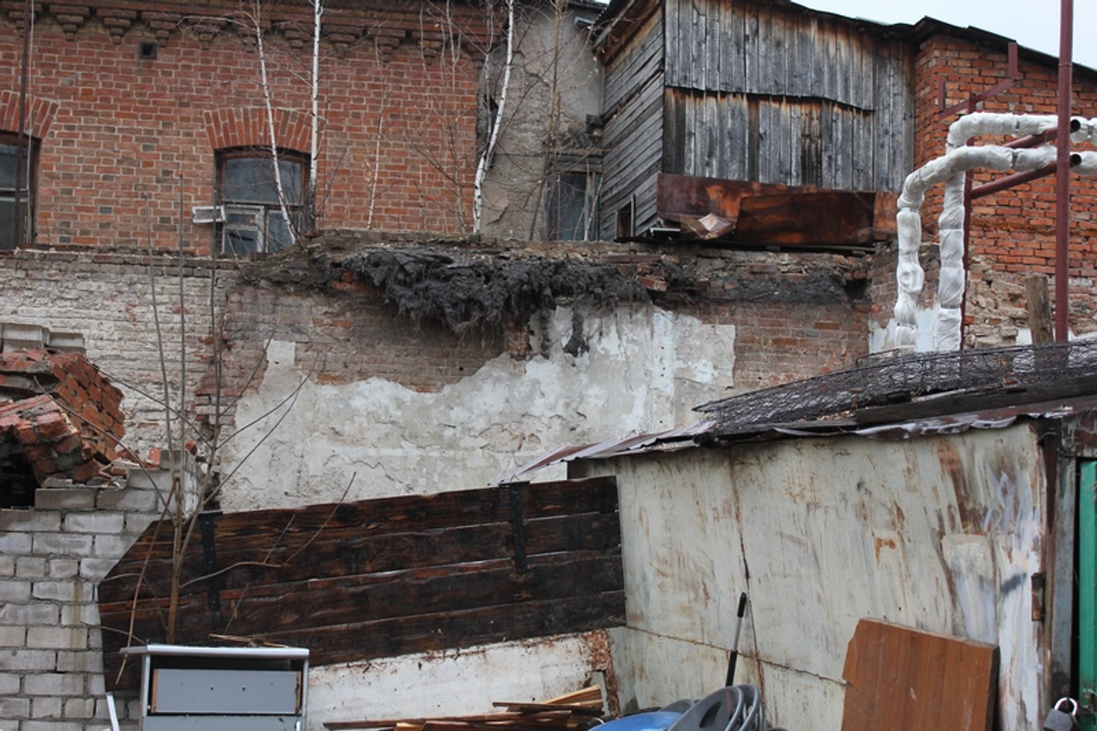 Фото автора.