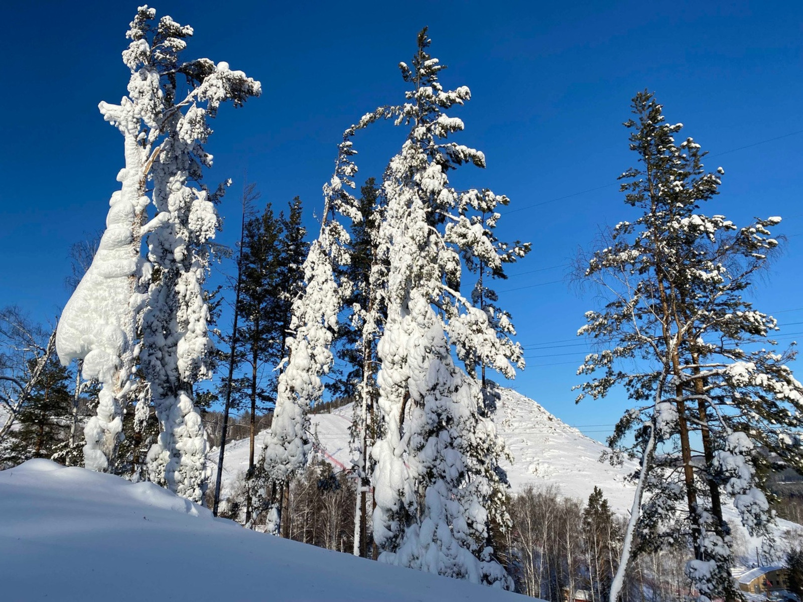 Елены Колоколовой.