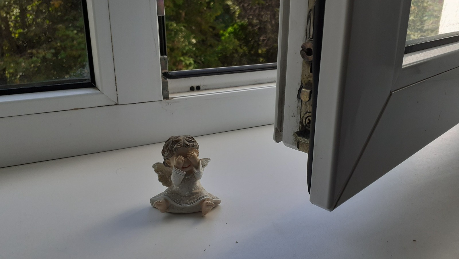 Владимира Шакиева.