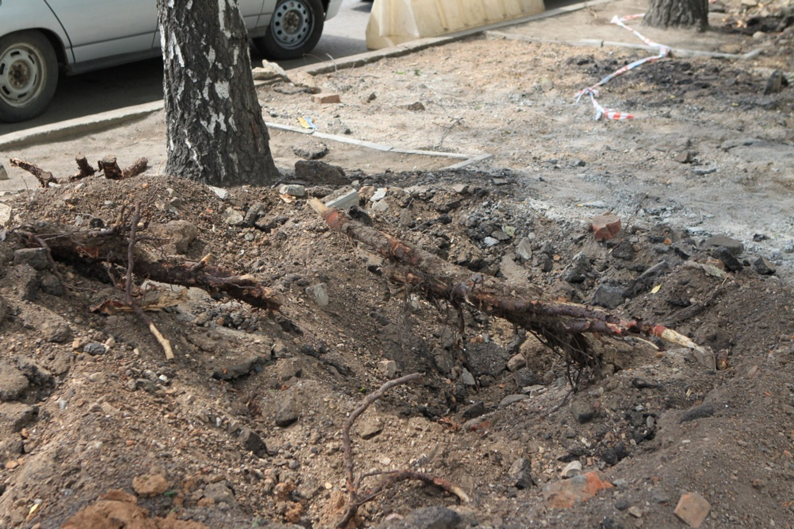 Фото Олега Яровикова.