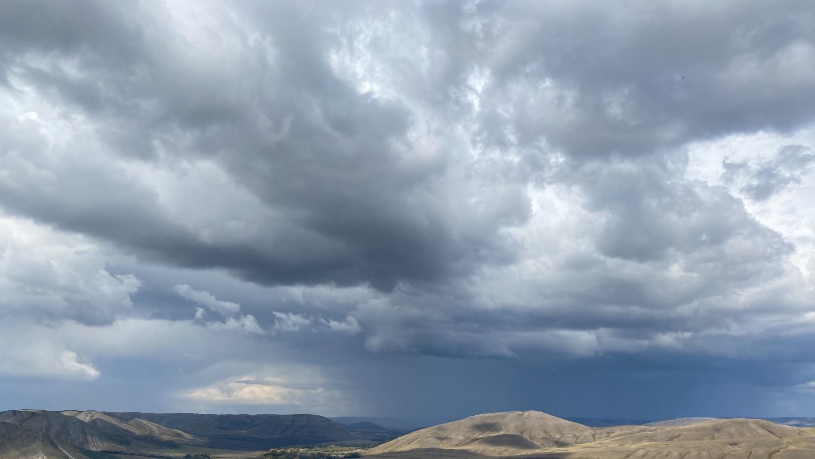 Елены Колоколовой.