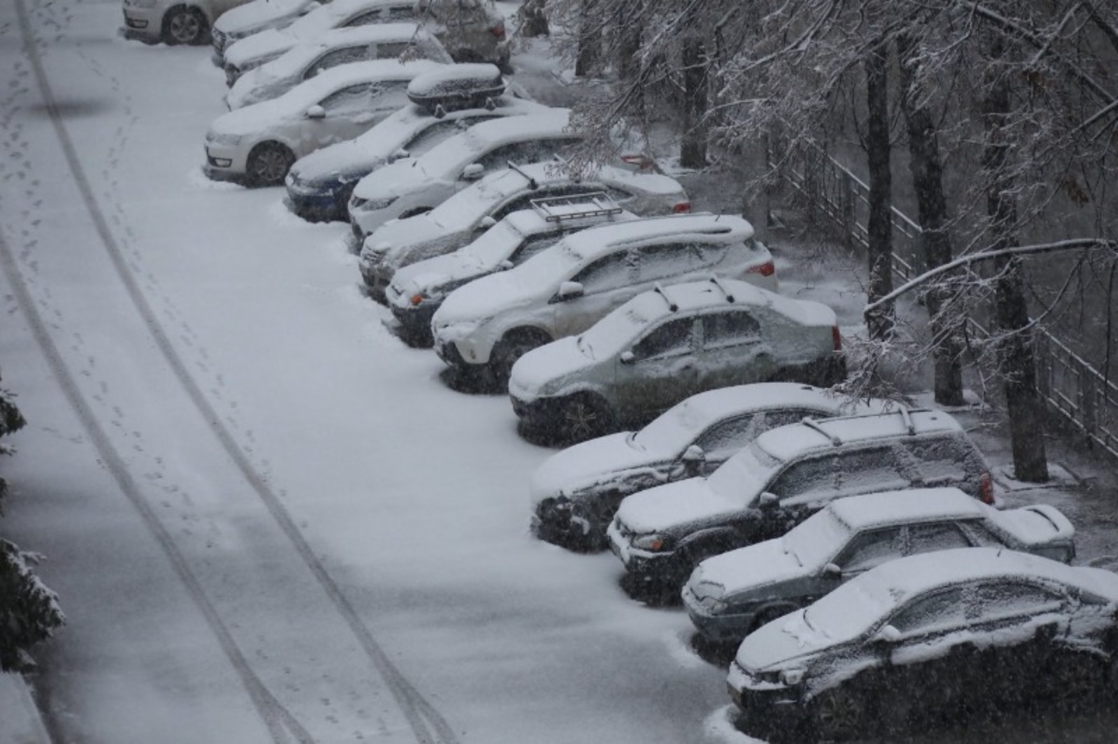 Валерия Шахова.