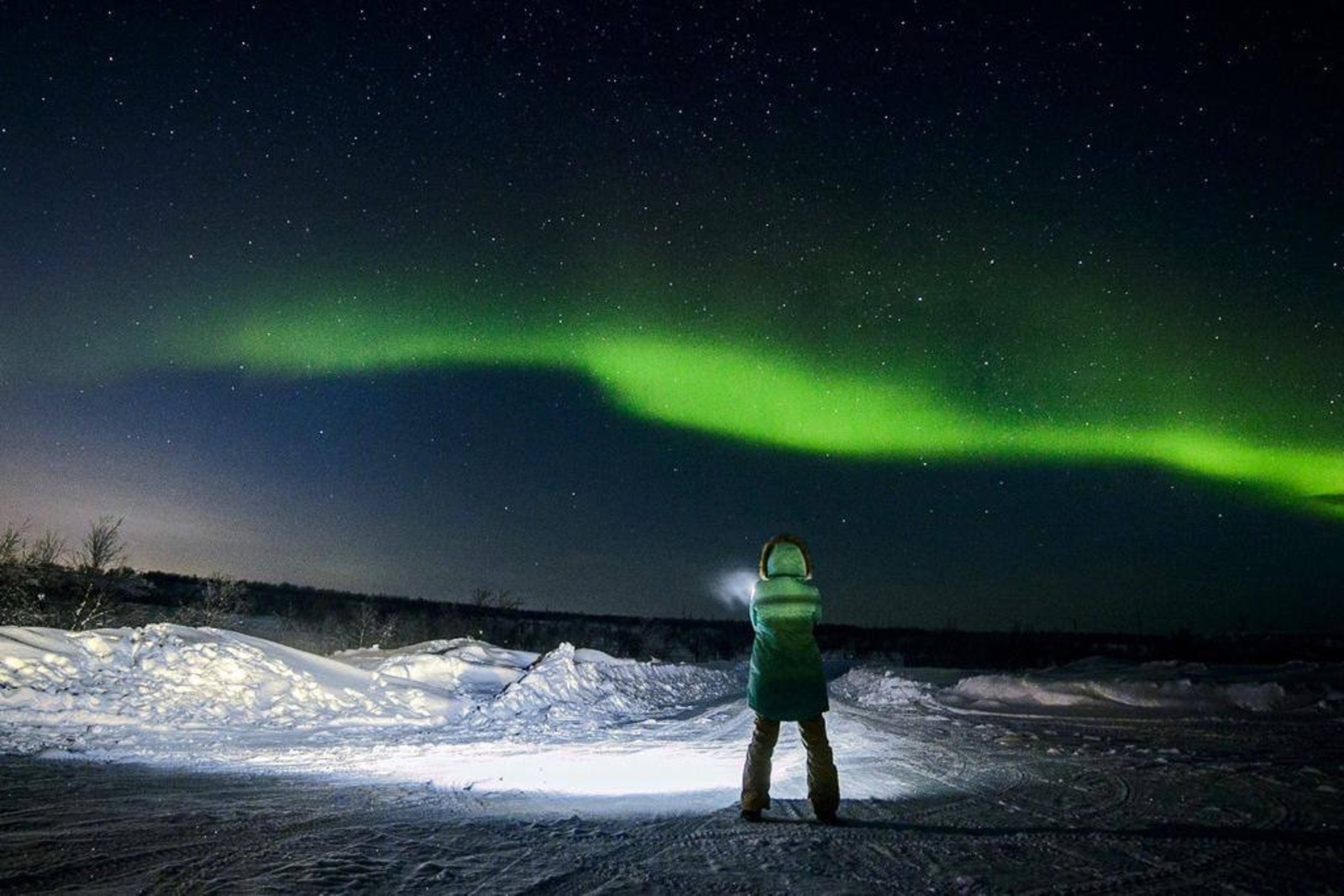 предоставлено компанией МегаФон
