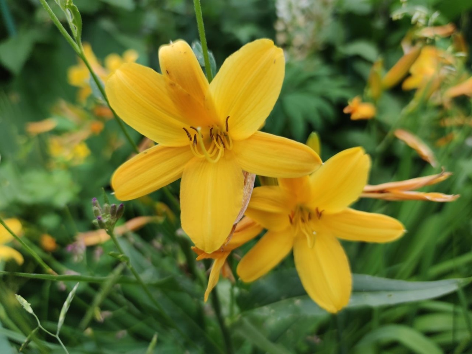 Дарьи Святохиной.