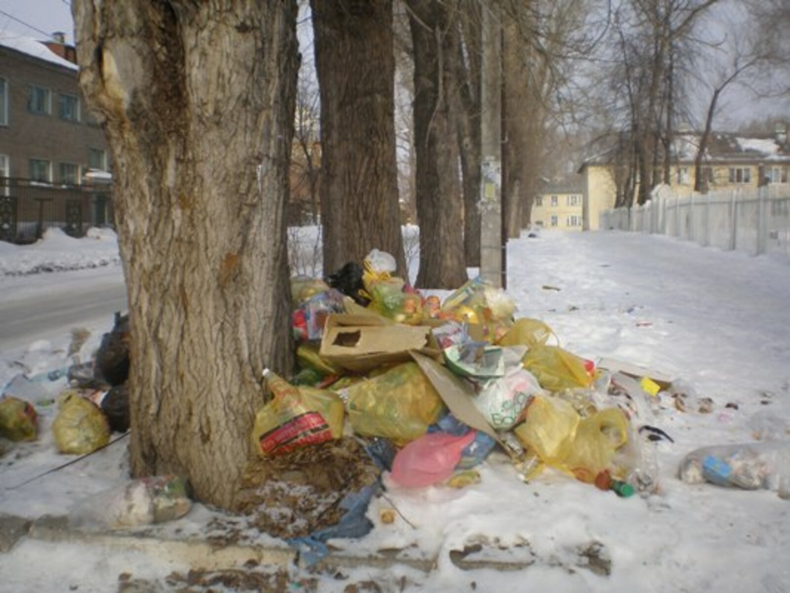 Фото автора.