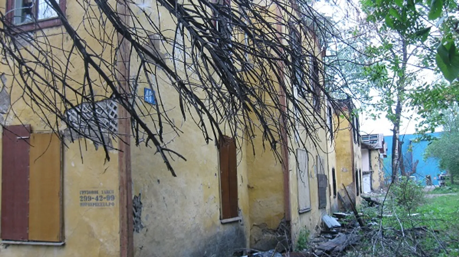 Фото Любови Колоколовой.