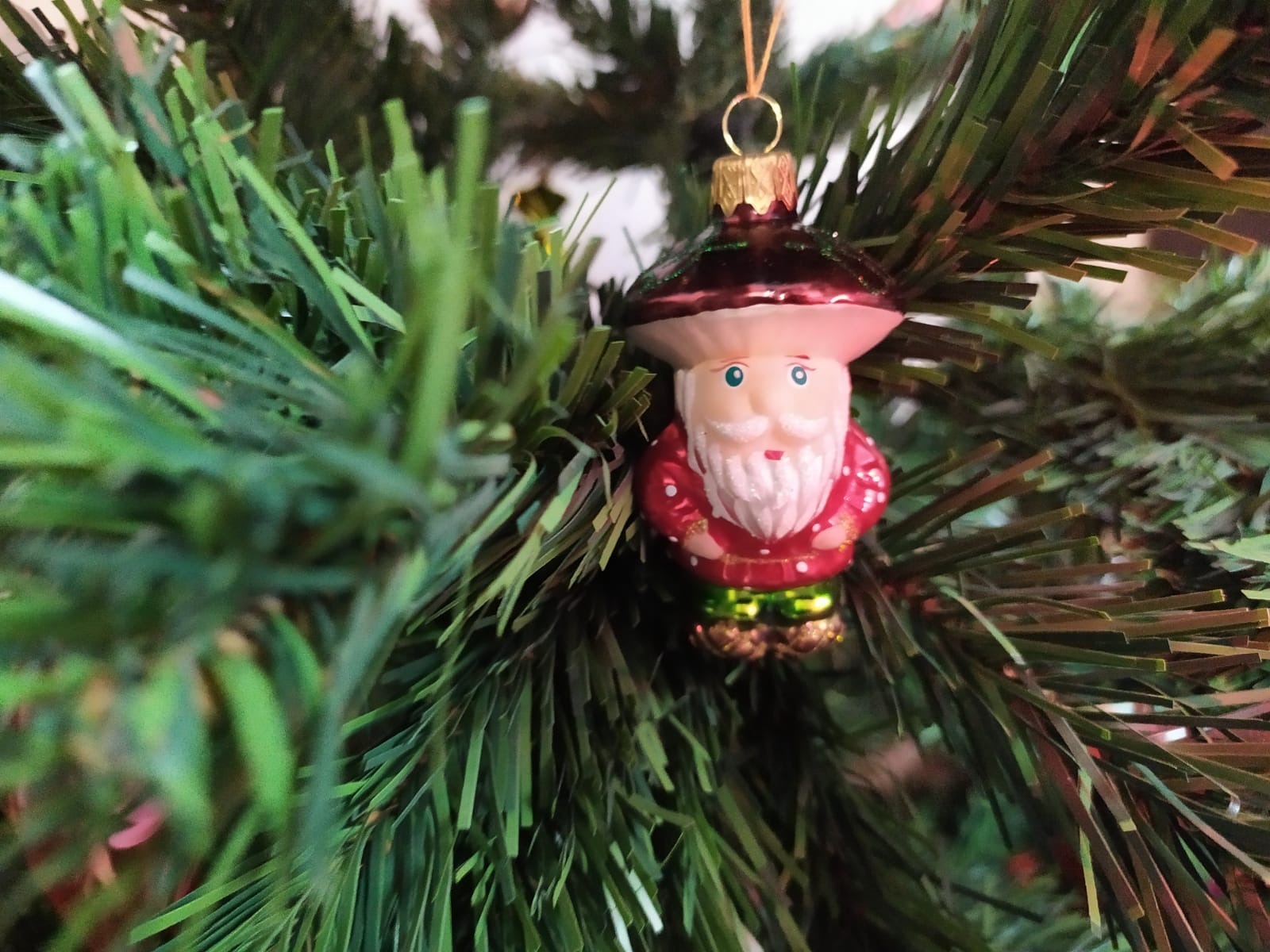 Васили Саитовой.