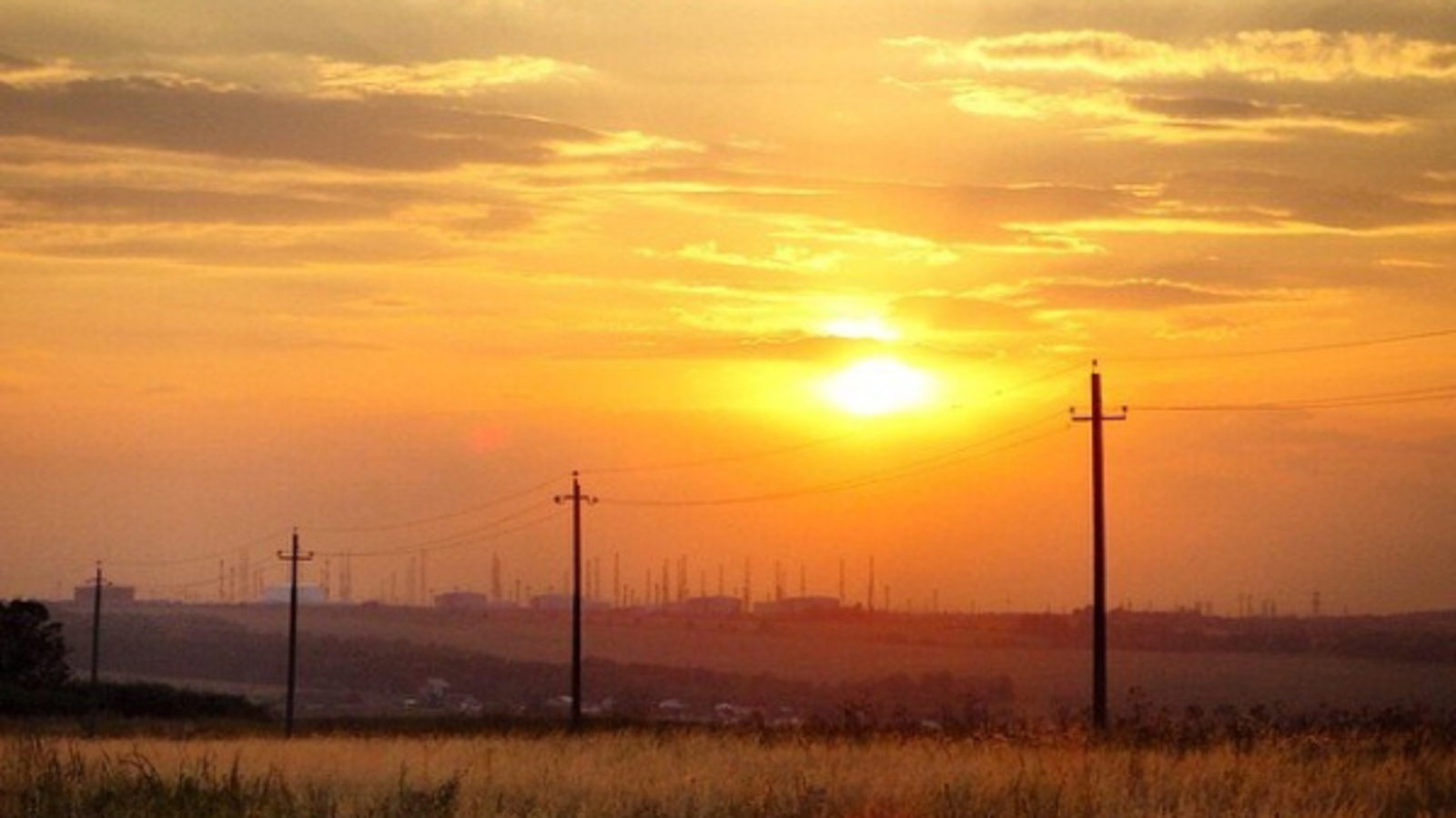 Фото автора.